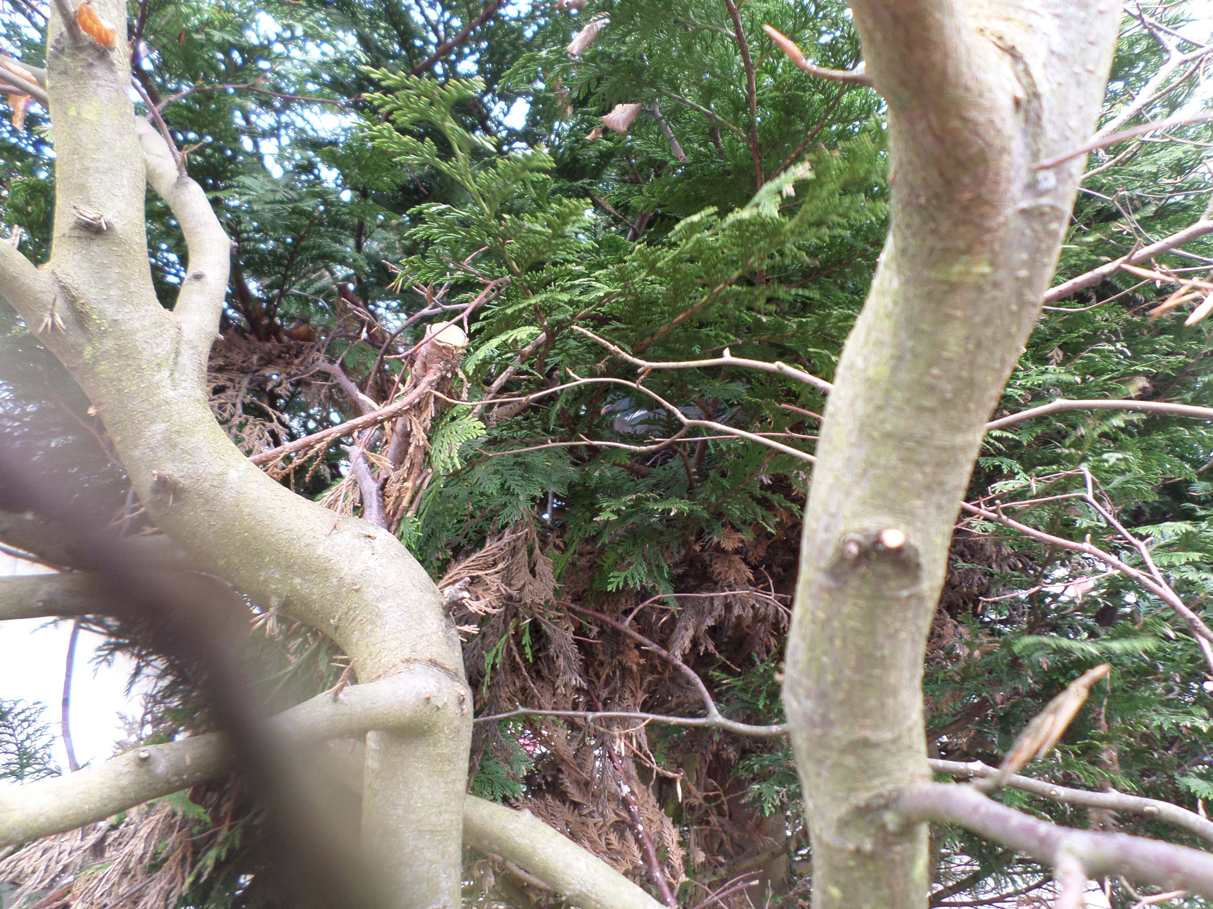 Being watched