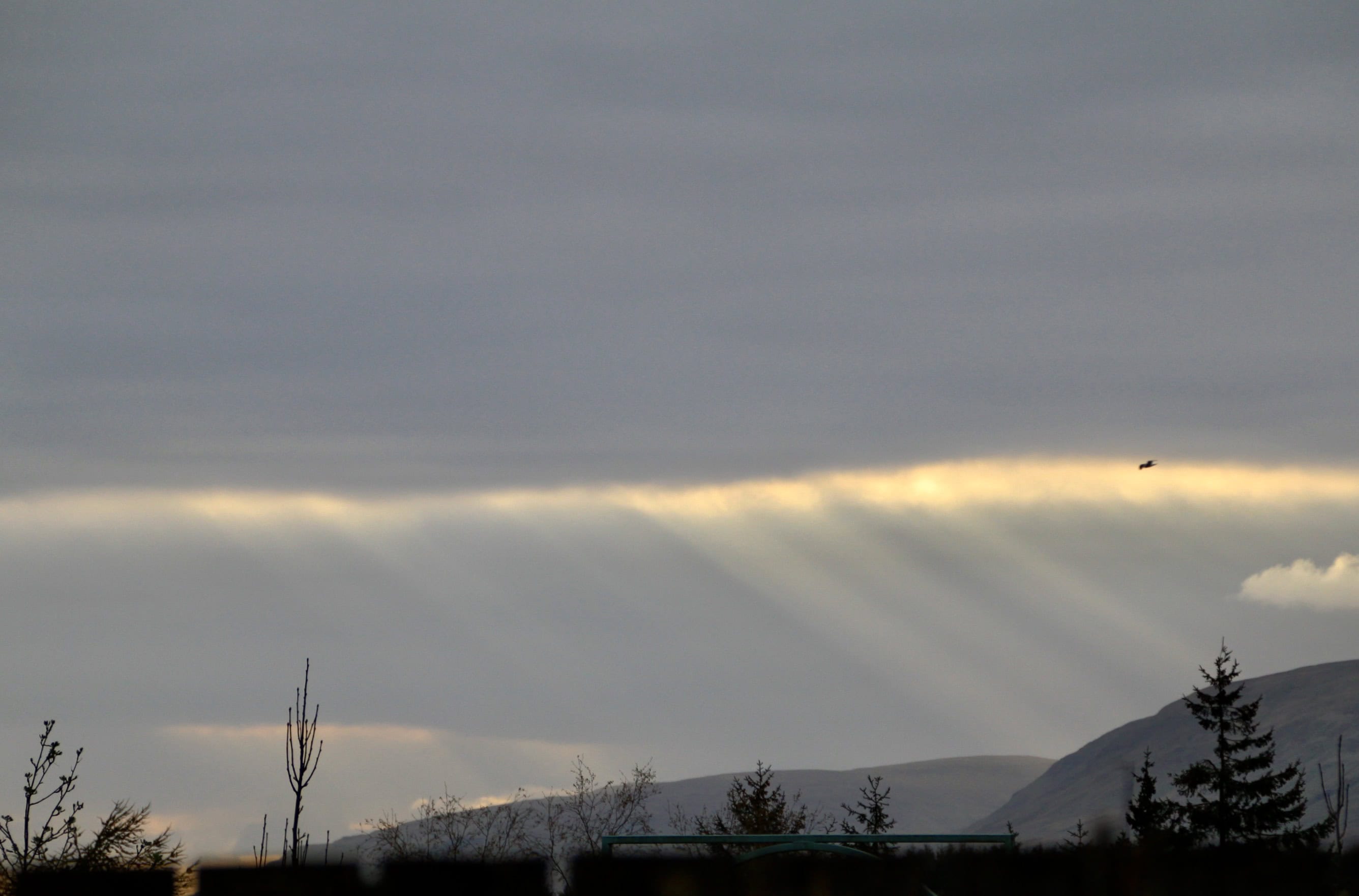 Crepuscular rays over Campsie Hills