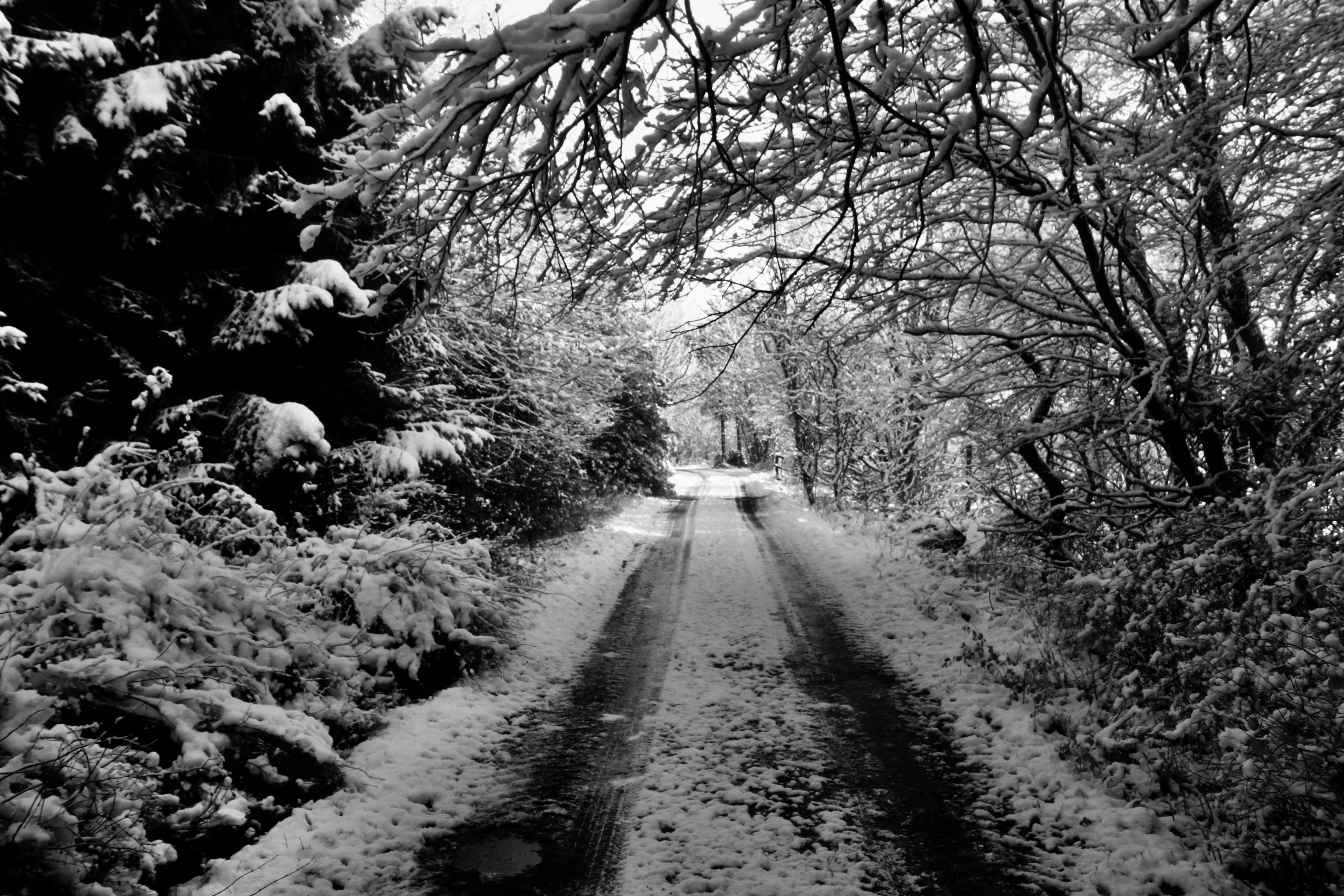 Wheel tracks