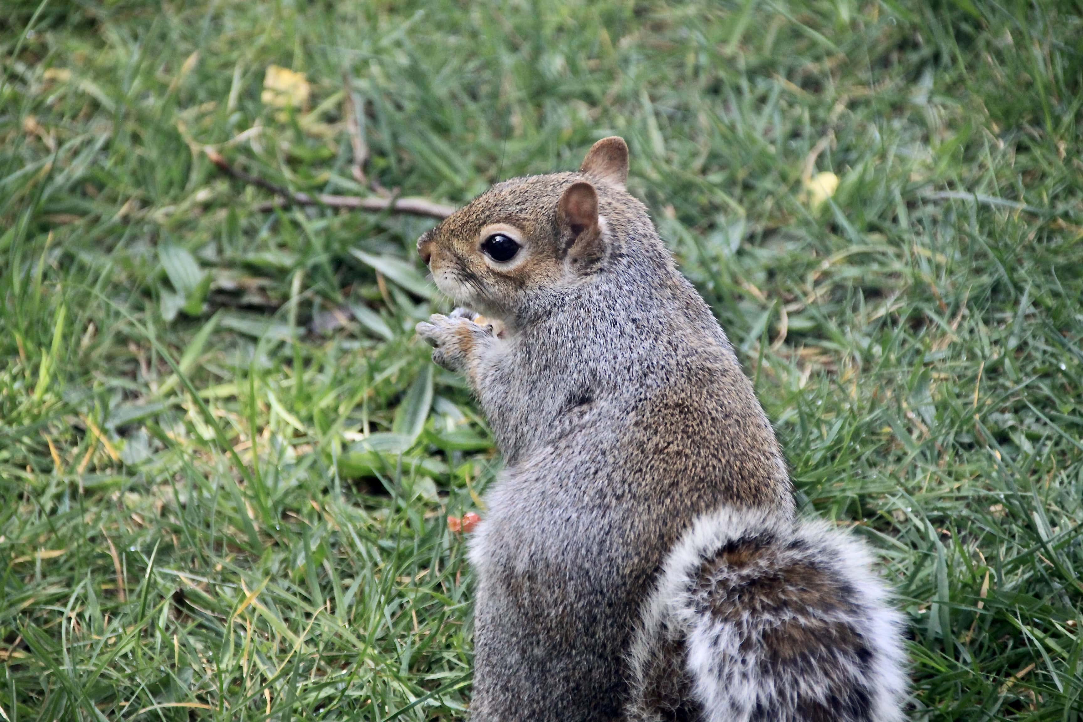 In the Garden Today…