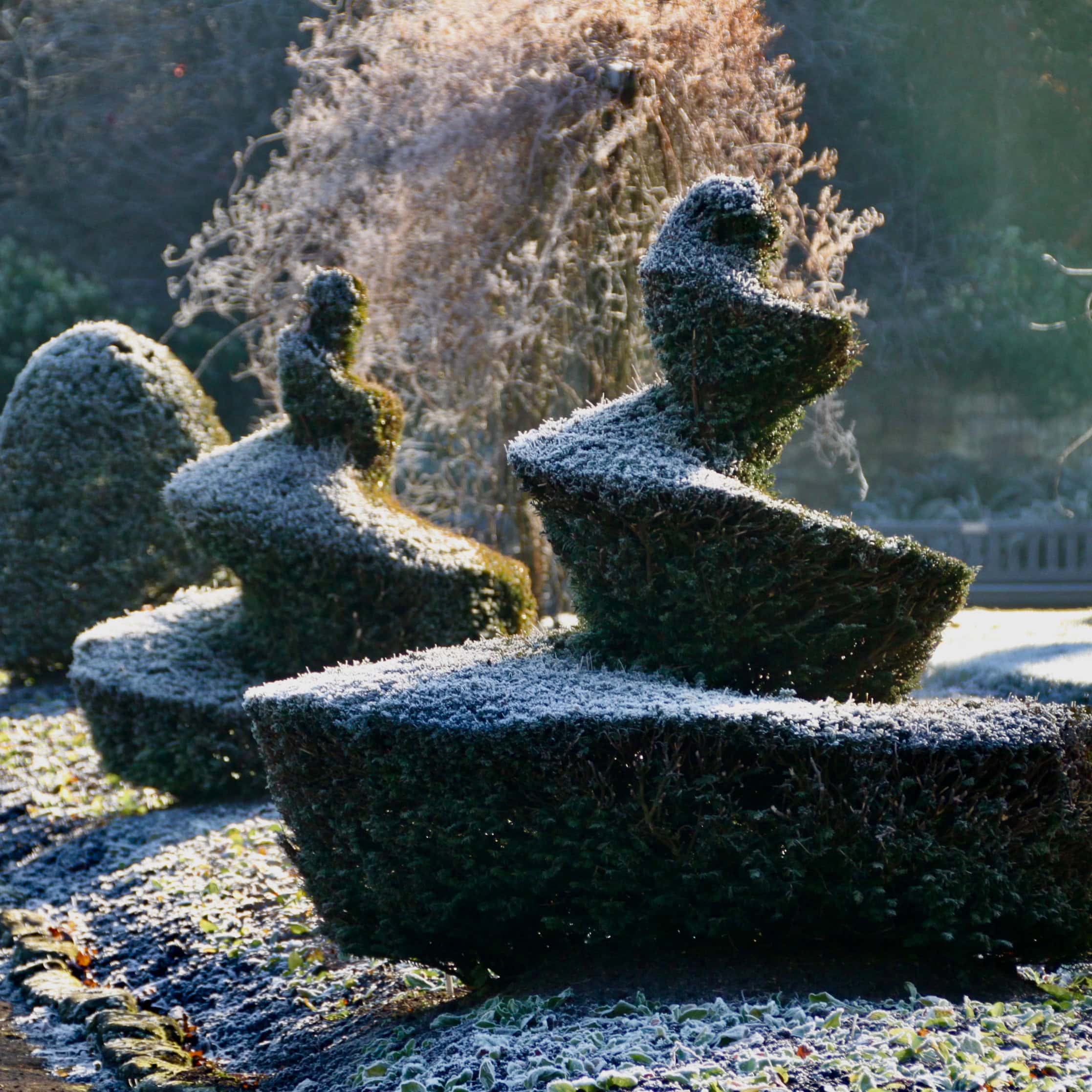 Topiary in Bellahouston Park