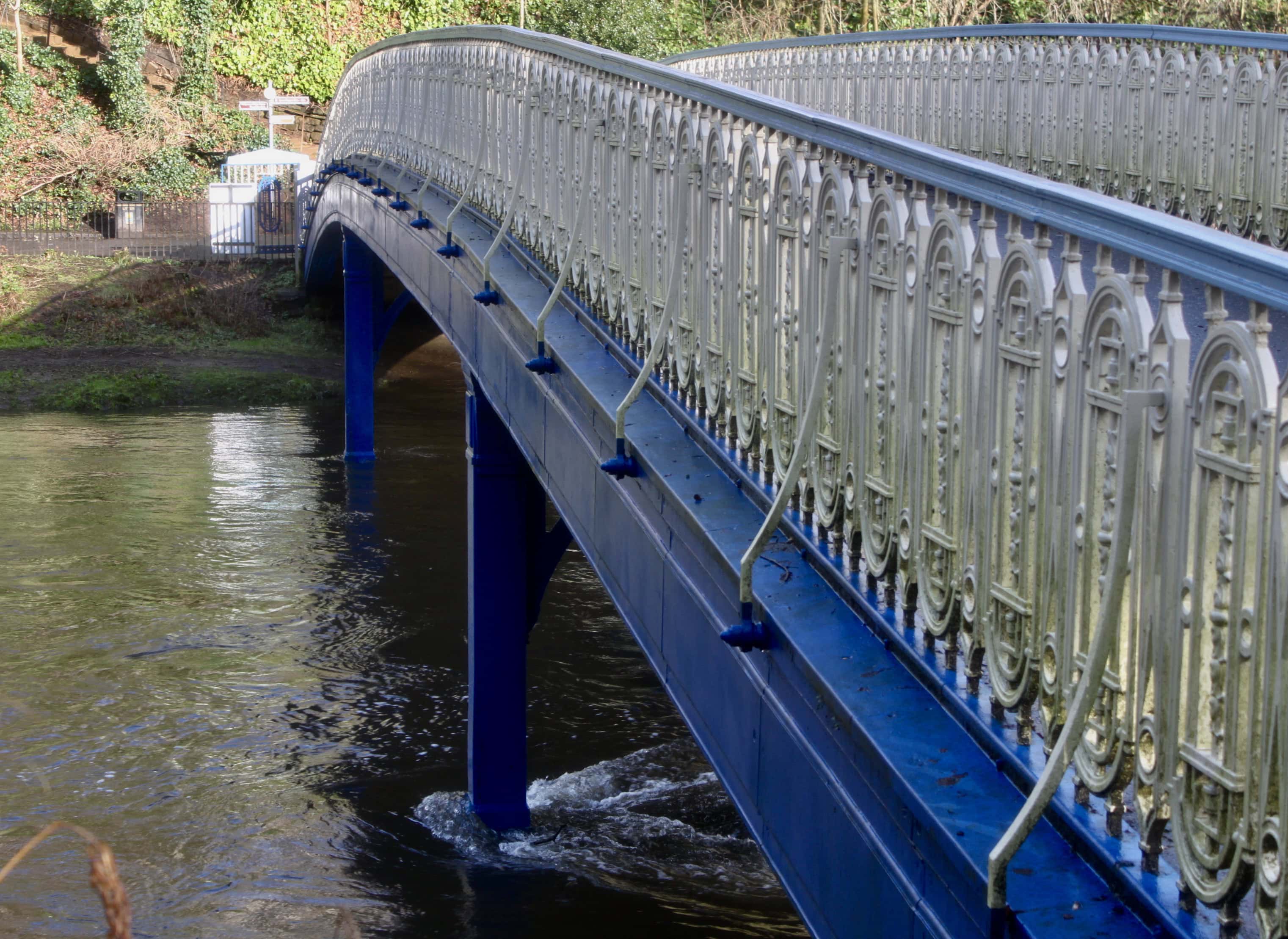 River Kelvin — Water Water Everywhere #26