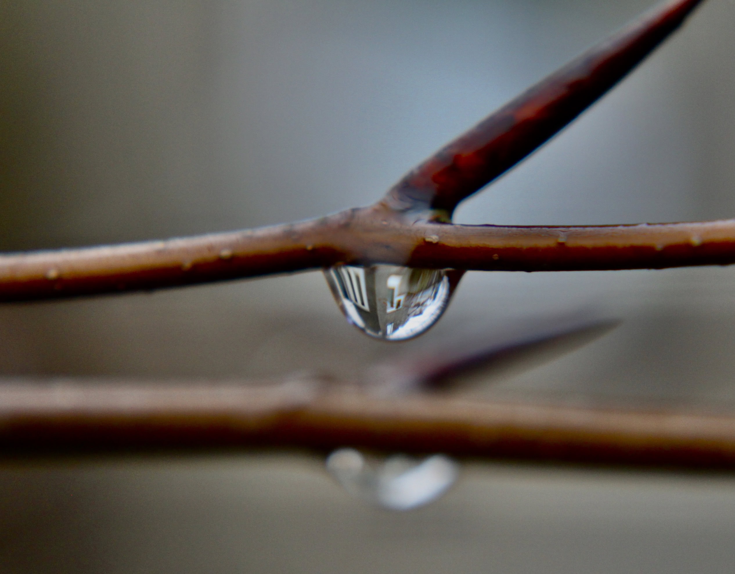 House in a Water Droplet — Water Water Everywhere #28 and Sunshines Macro Monday #42