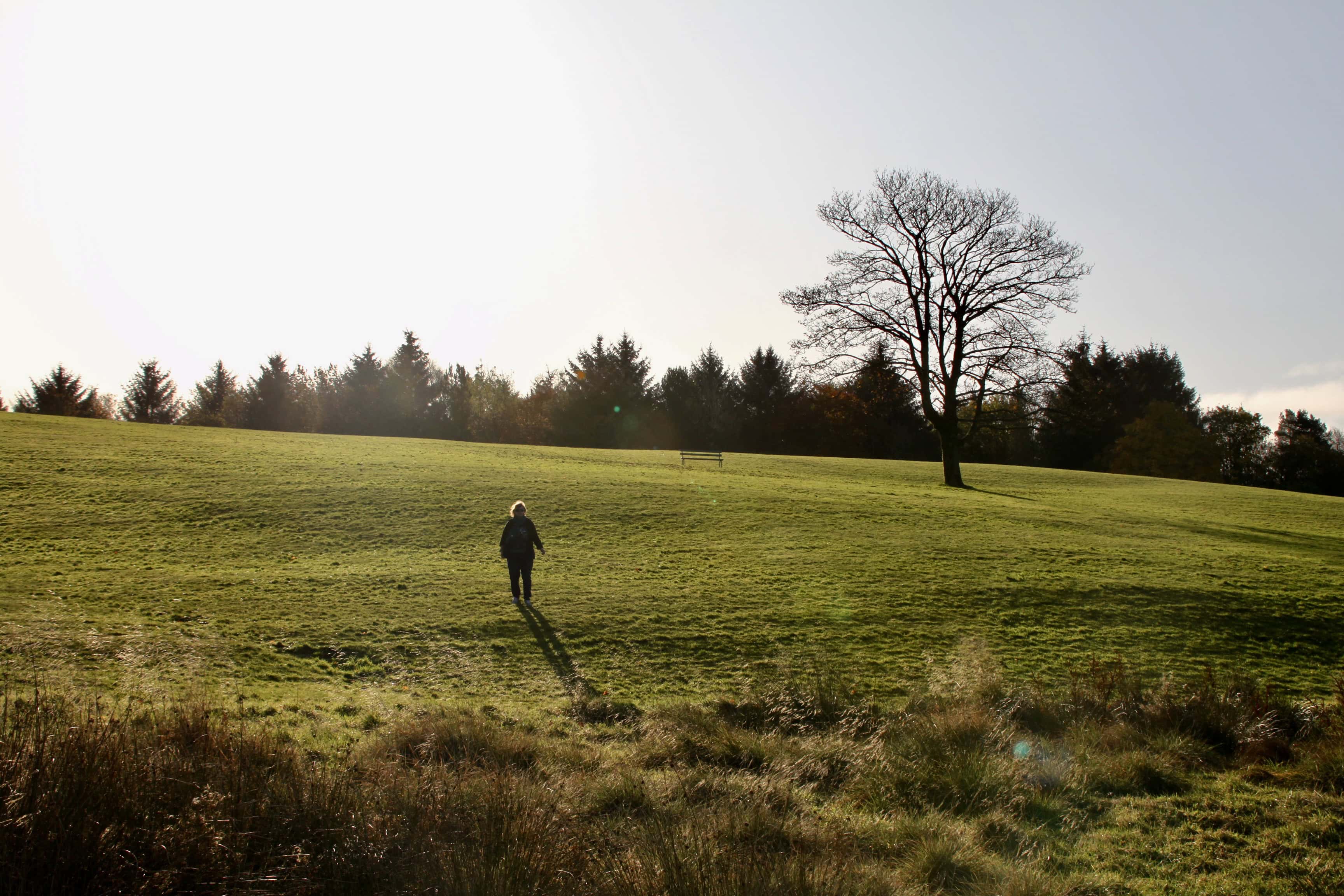 Cumbernauld House Park