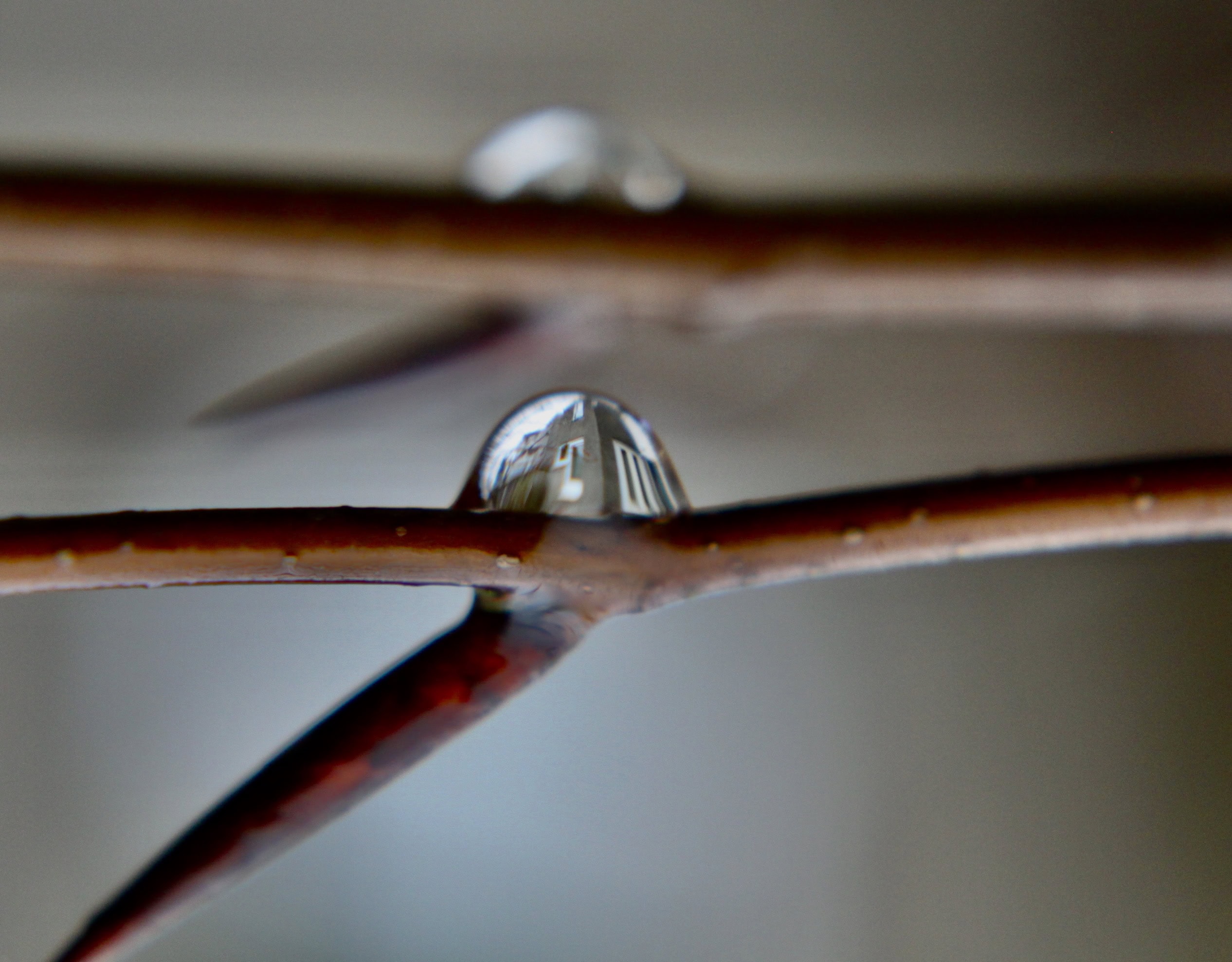 House in a water droplet