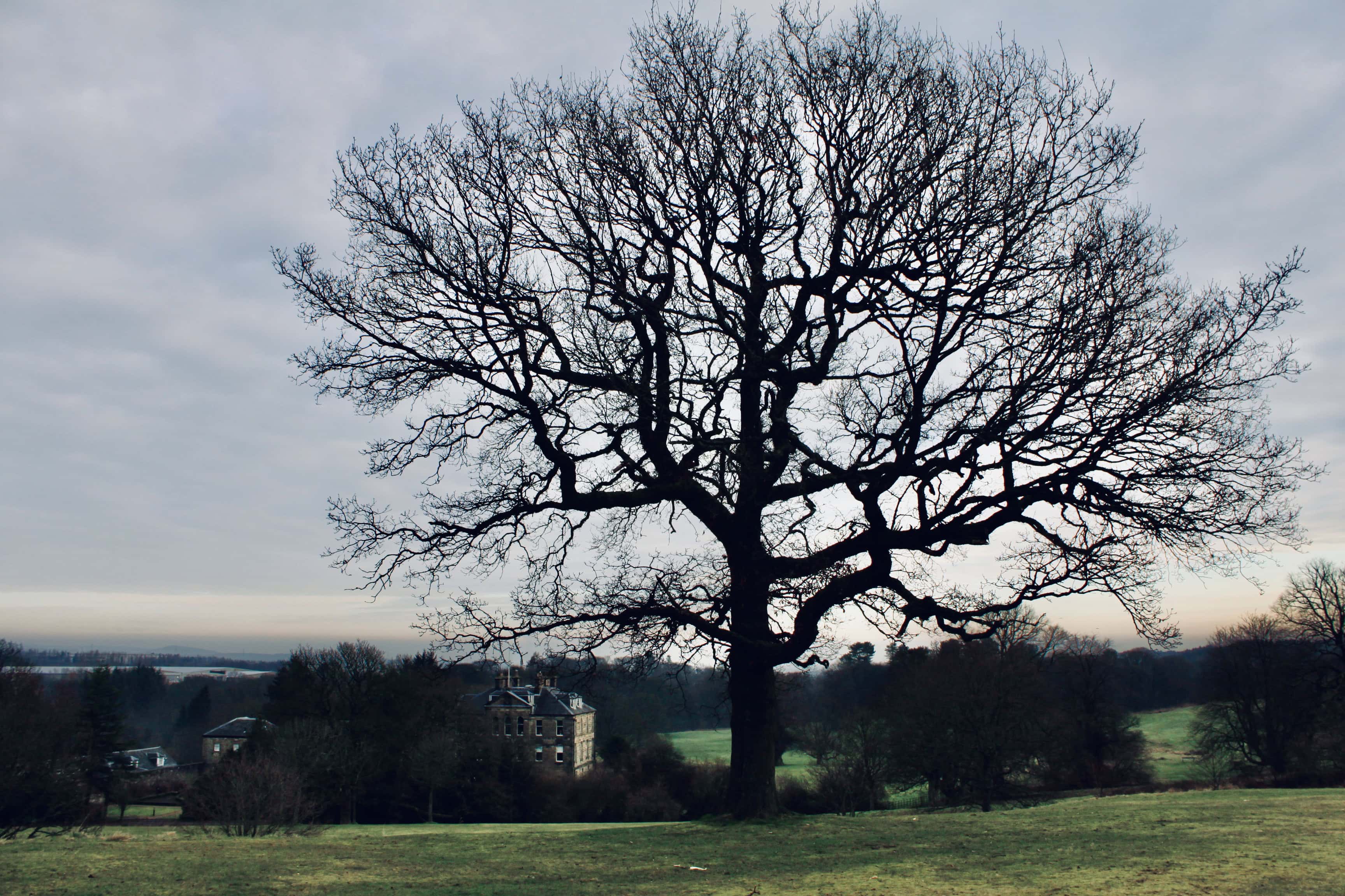 Cumbernauld House Park
