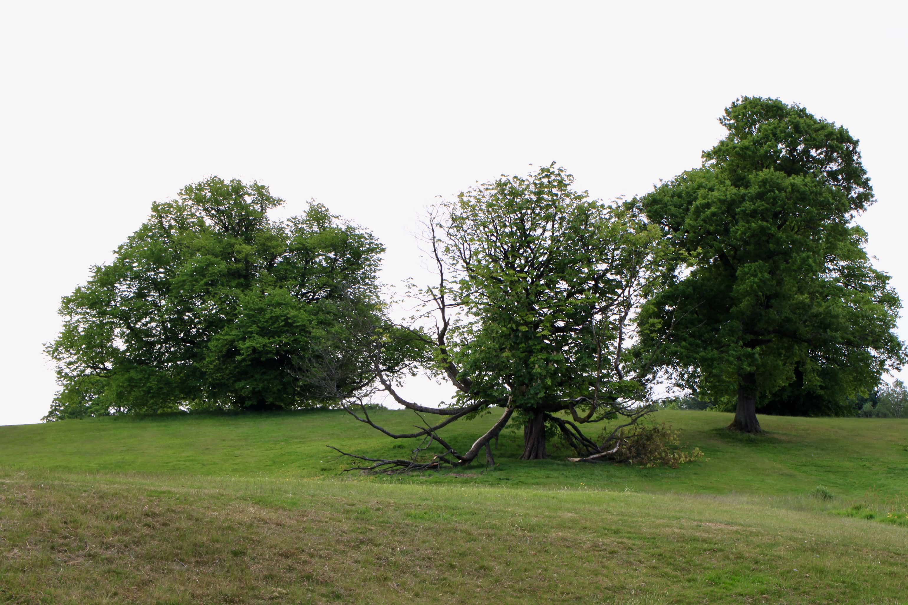 Cumbernauld House Park