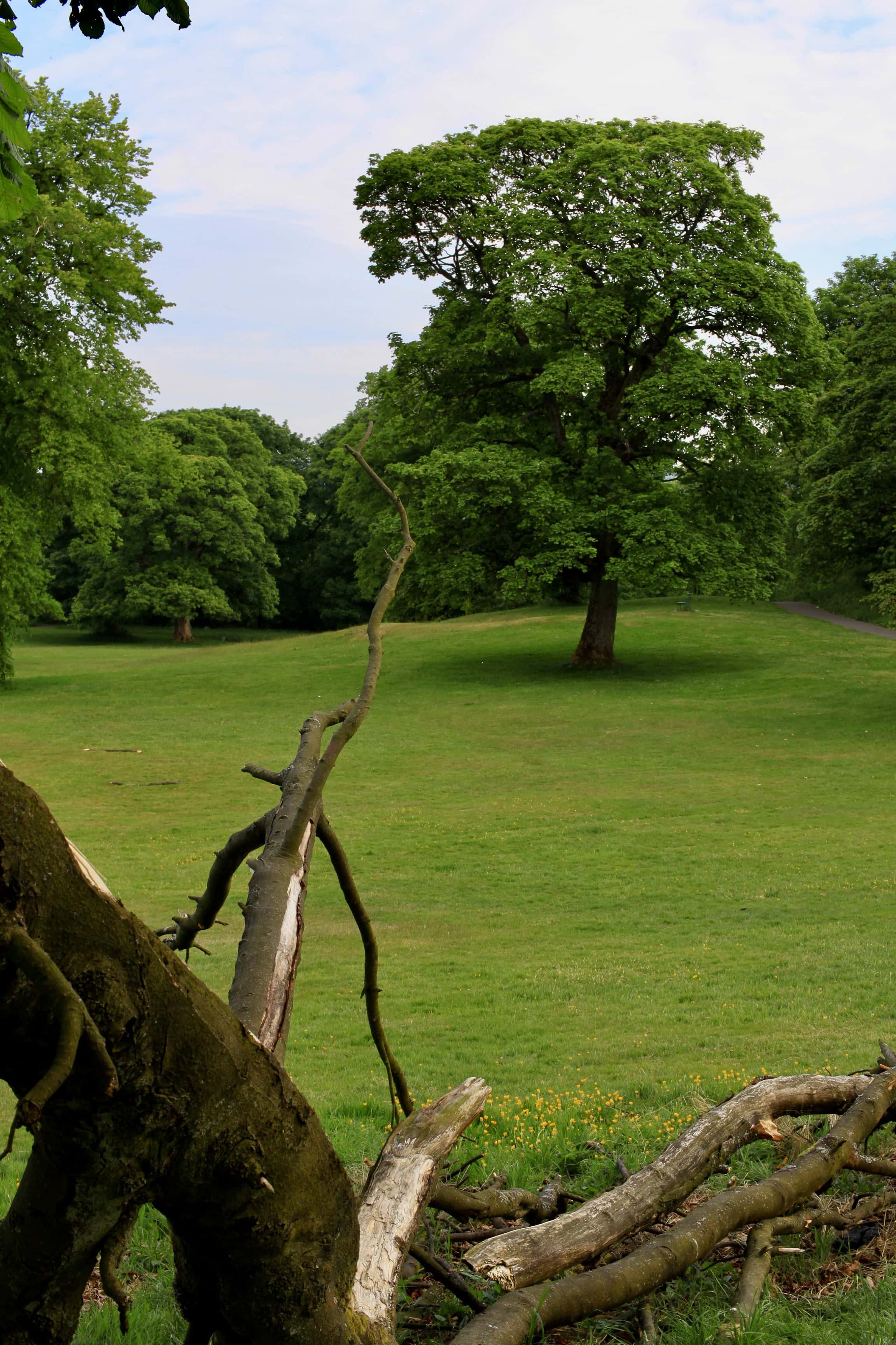 Cumbernauld House Park