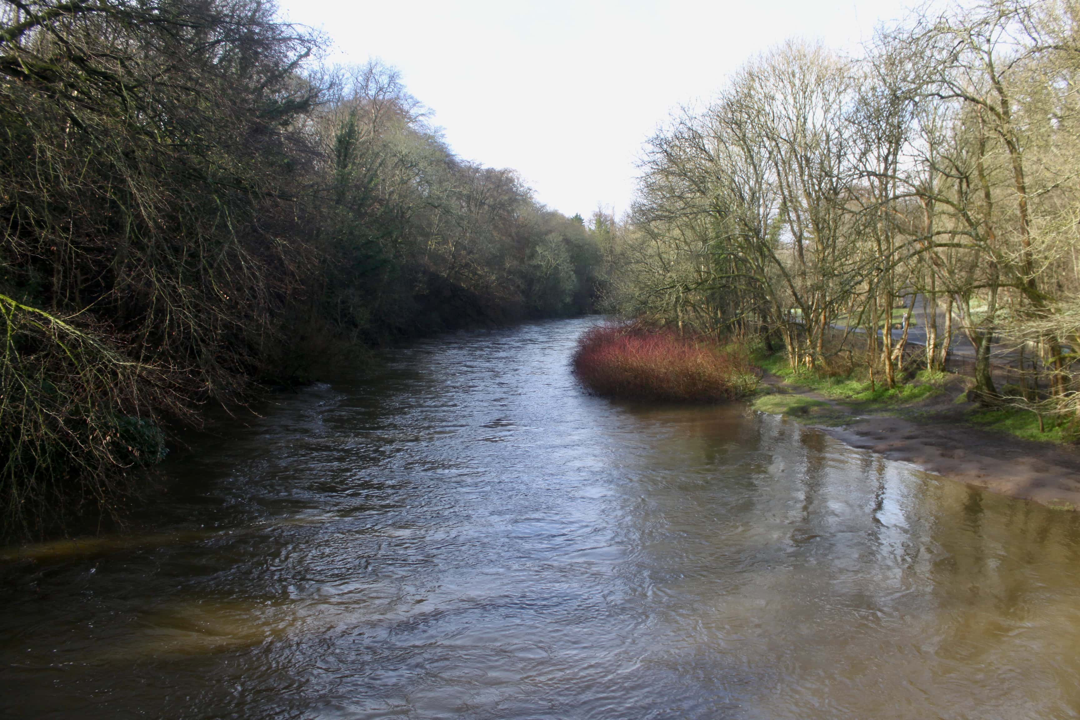 River Kelvin