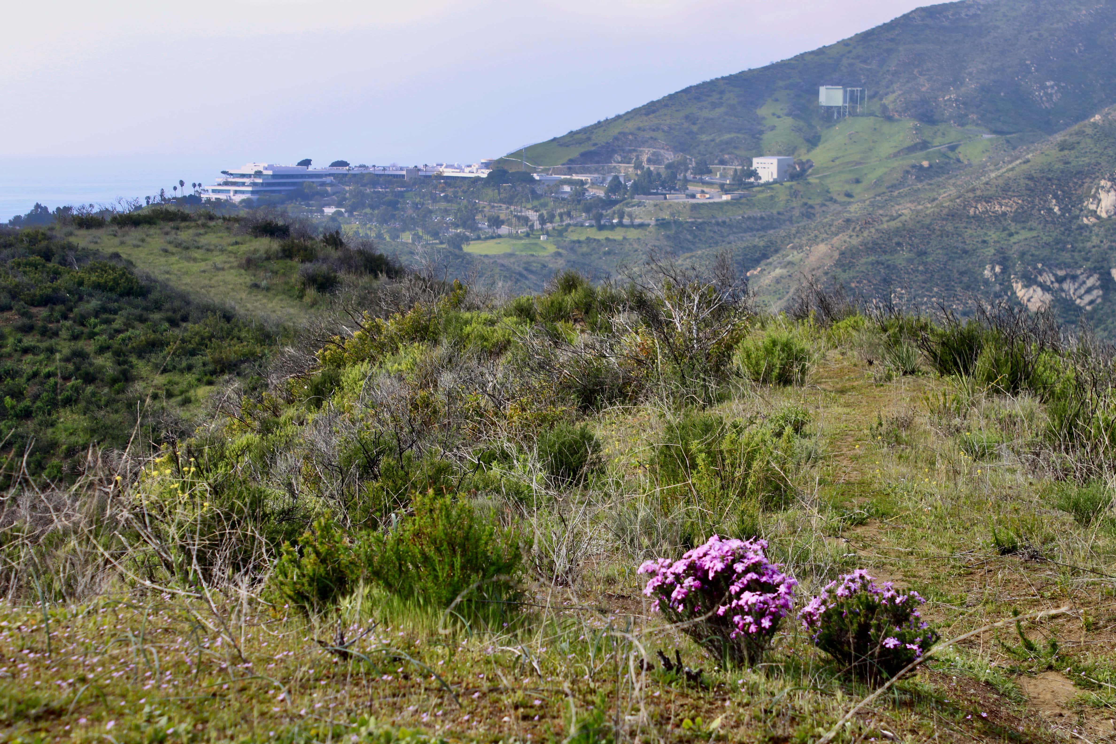 Pepperdine University