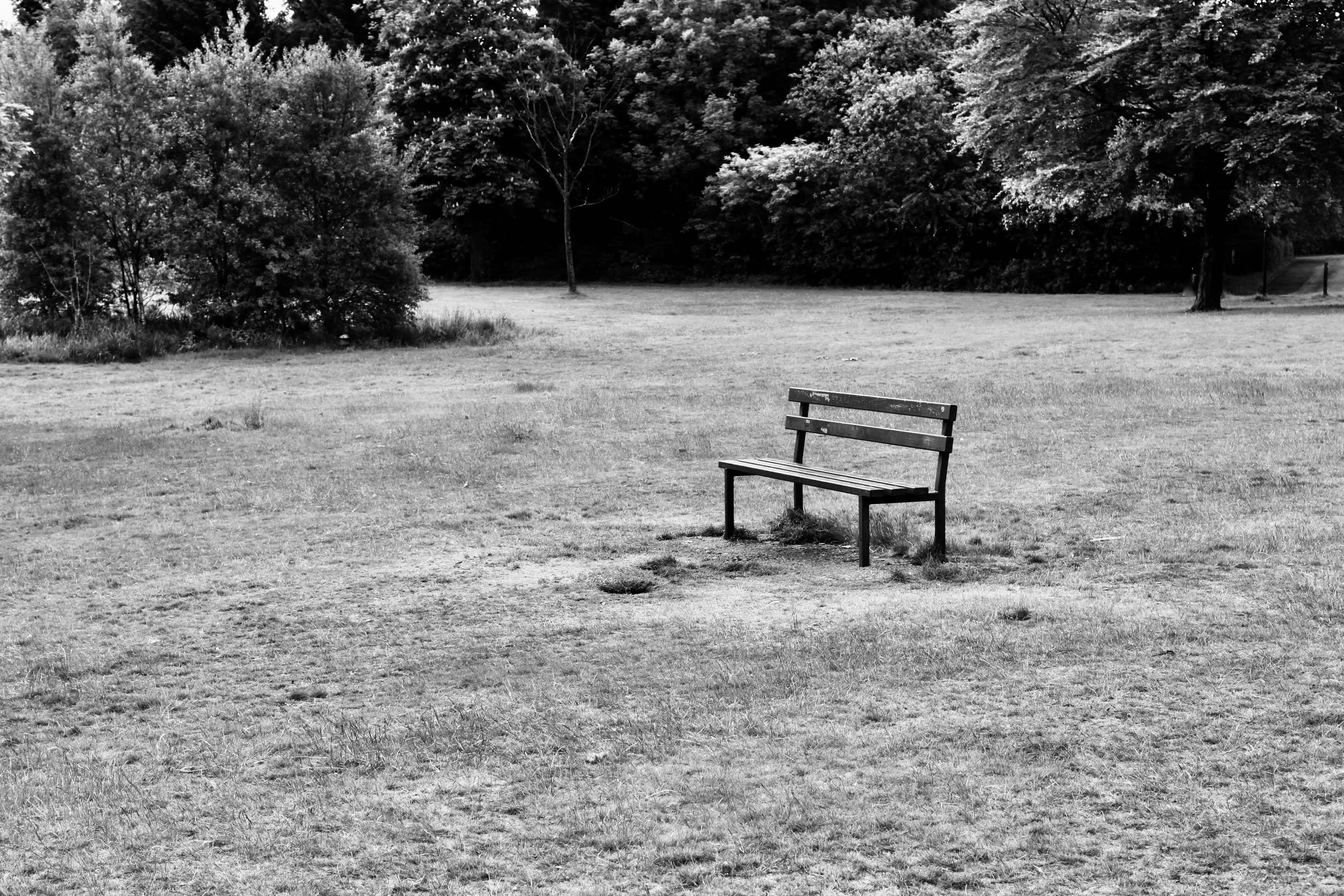 Bench in Cumbernauld House Park