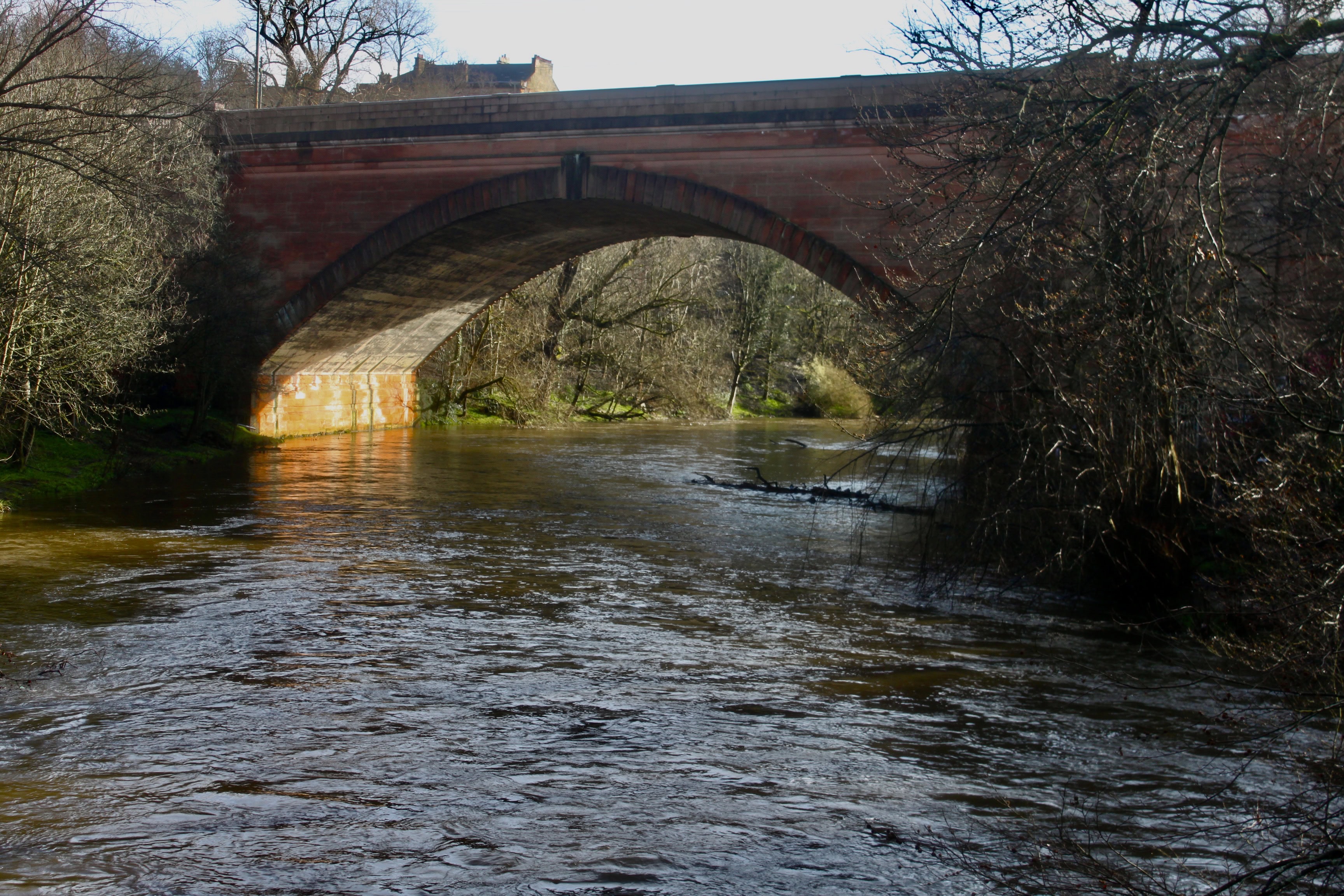 River Kelvin — Water Water Everywhere #32