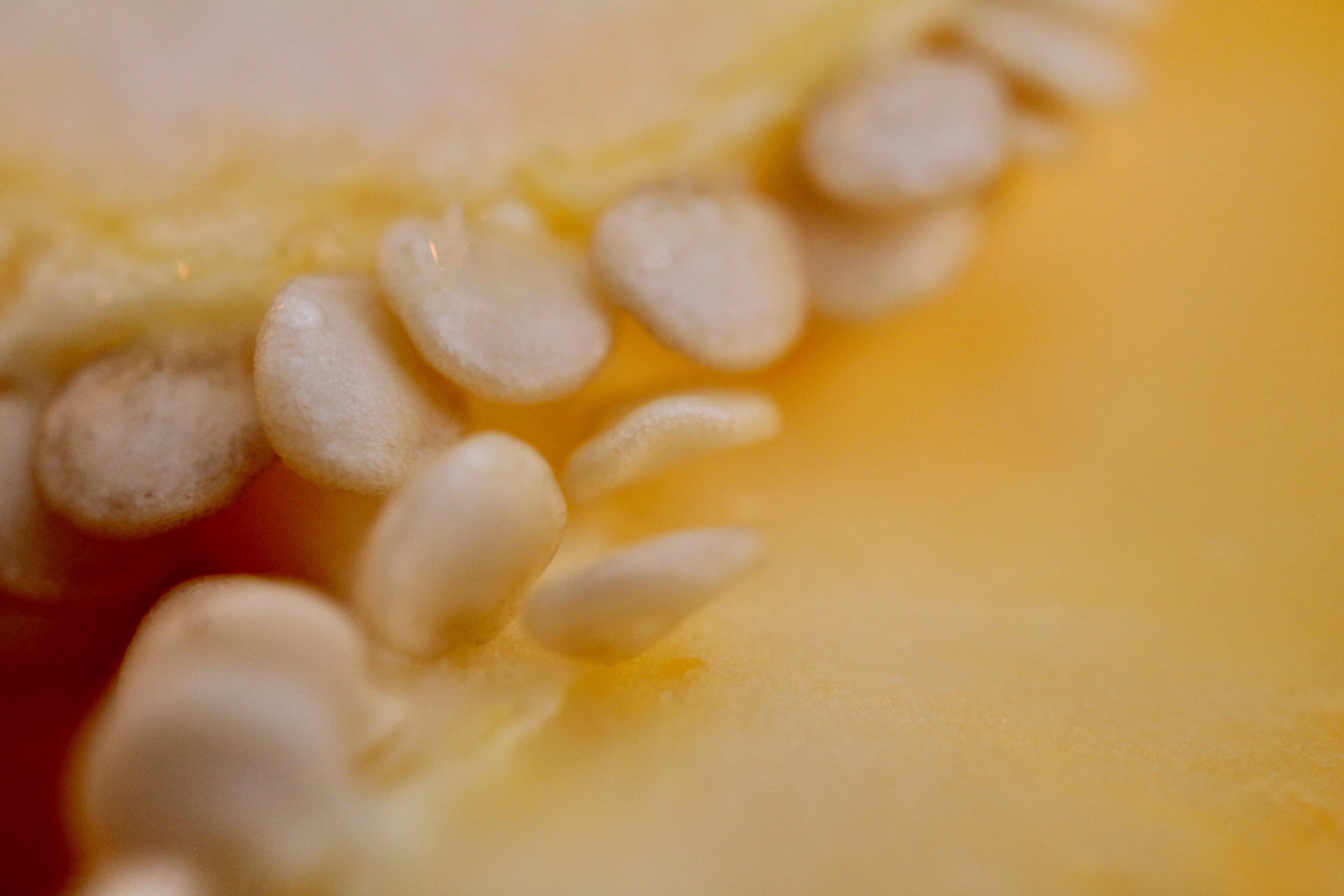 Pepper seeds