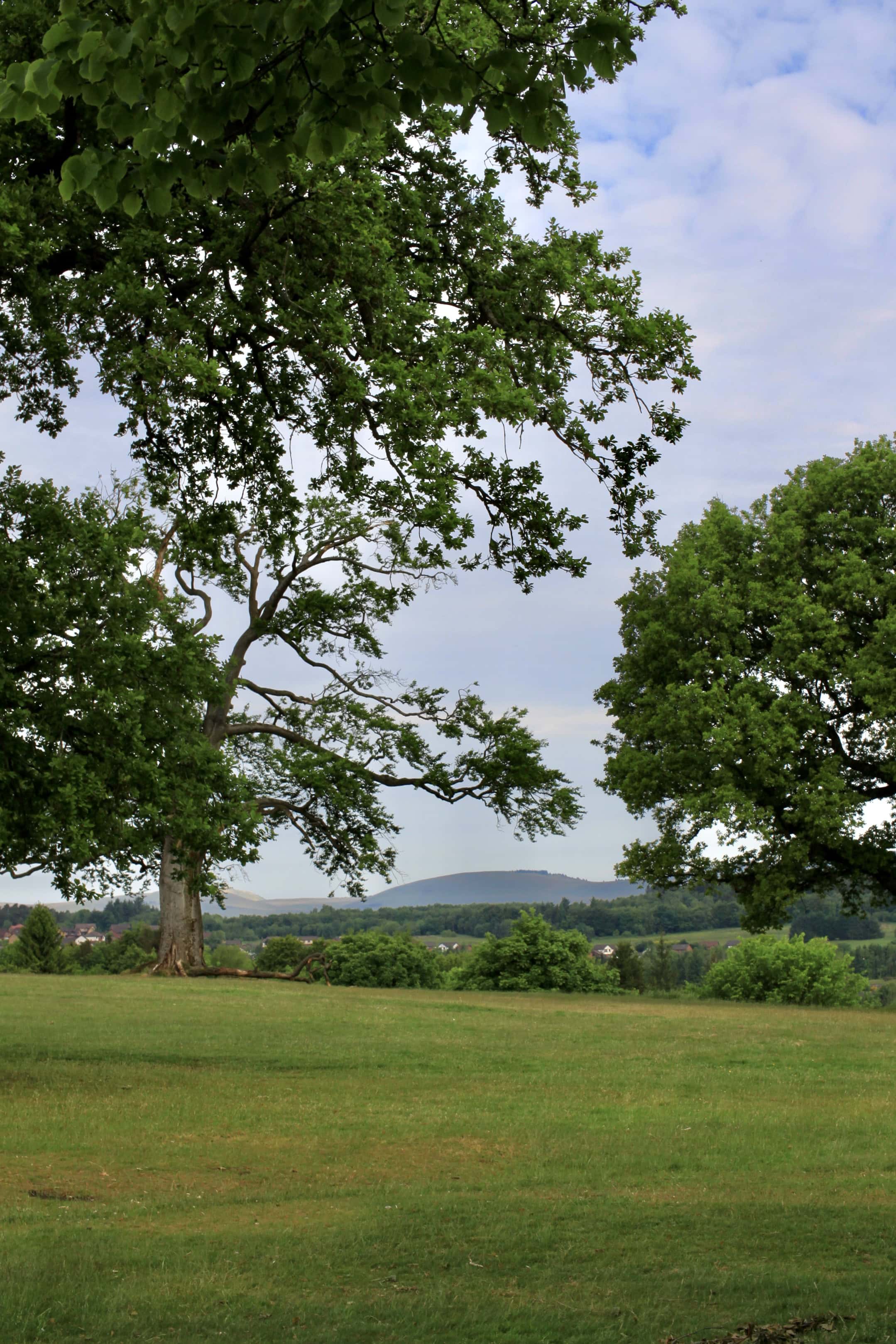 Cumbernauld House Park