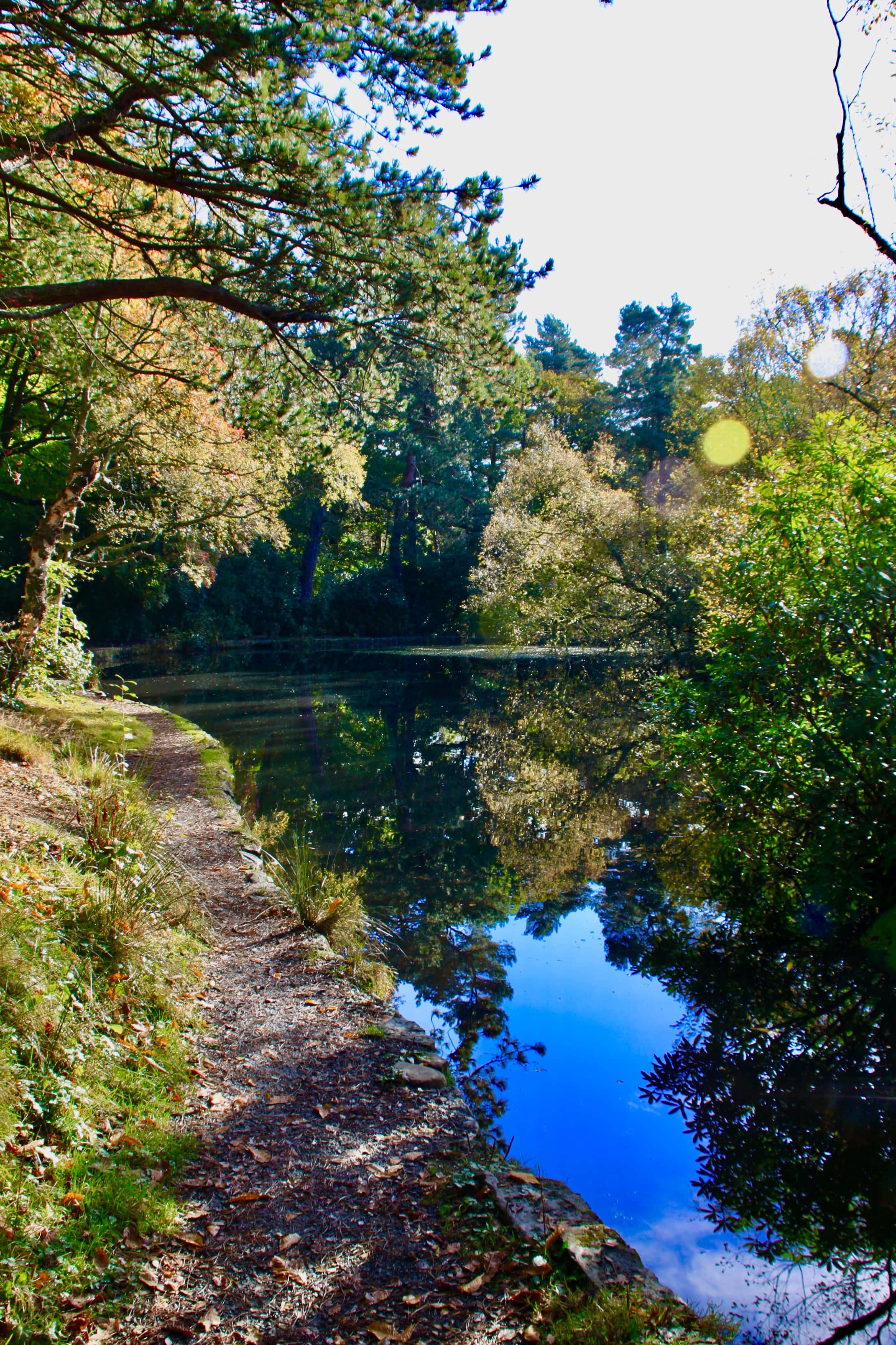 Pond in Pollock Country Park