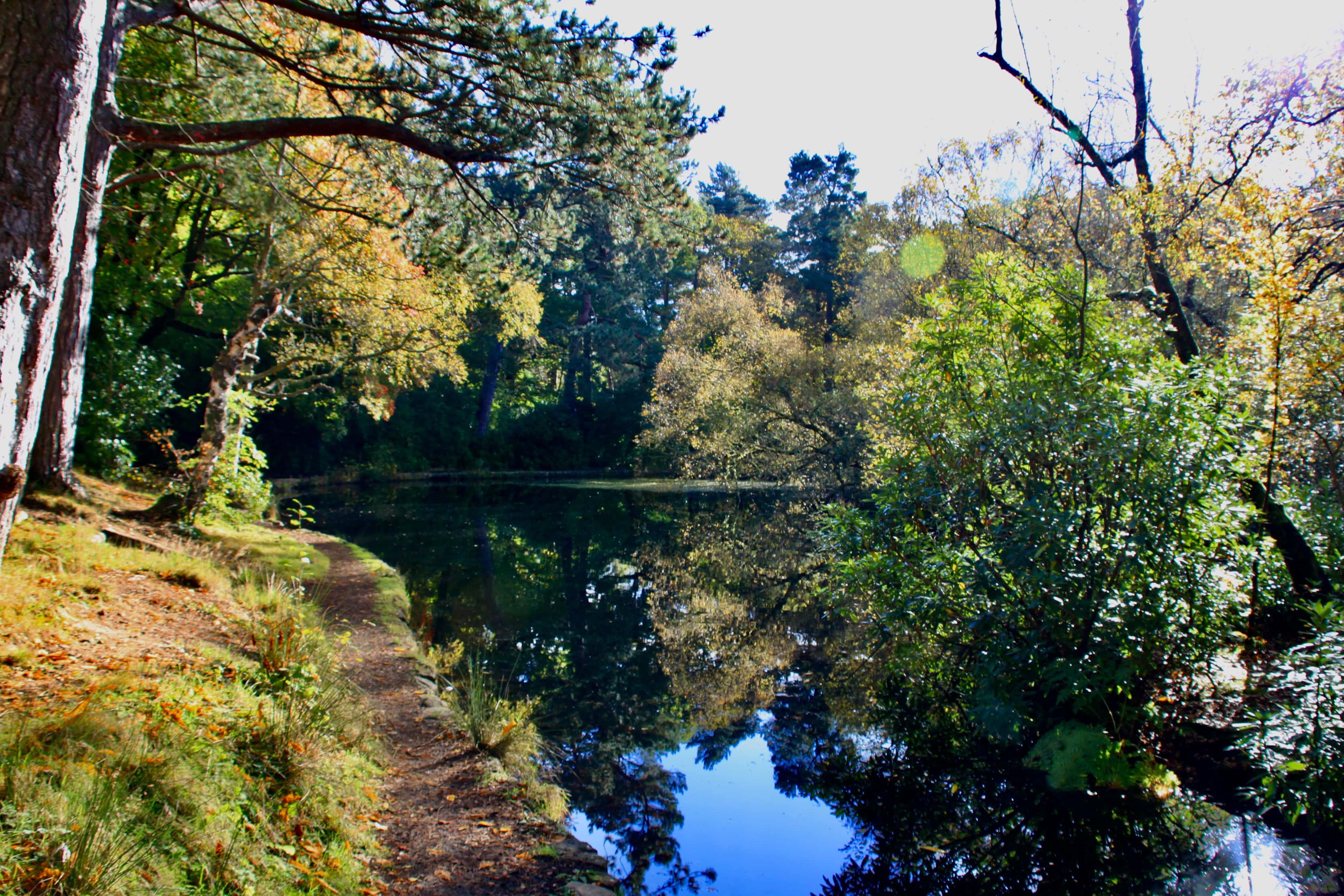 Pollock Country Park — Water Water Everywhere #38