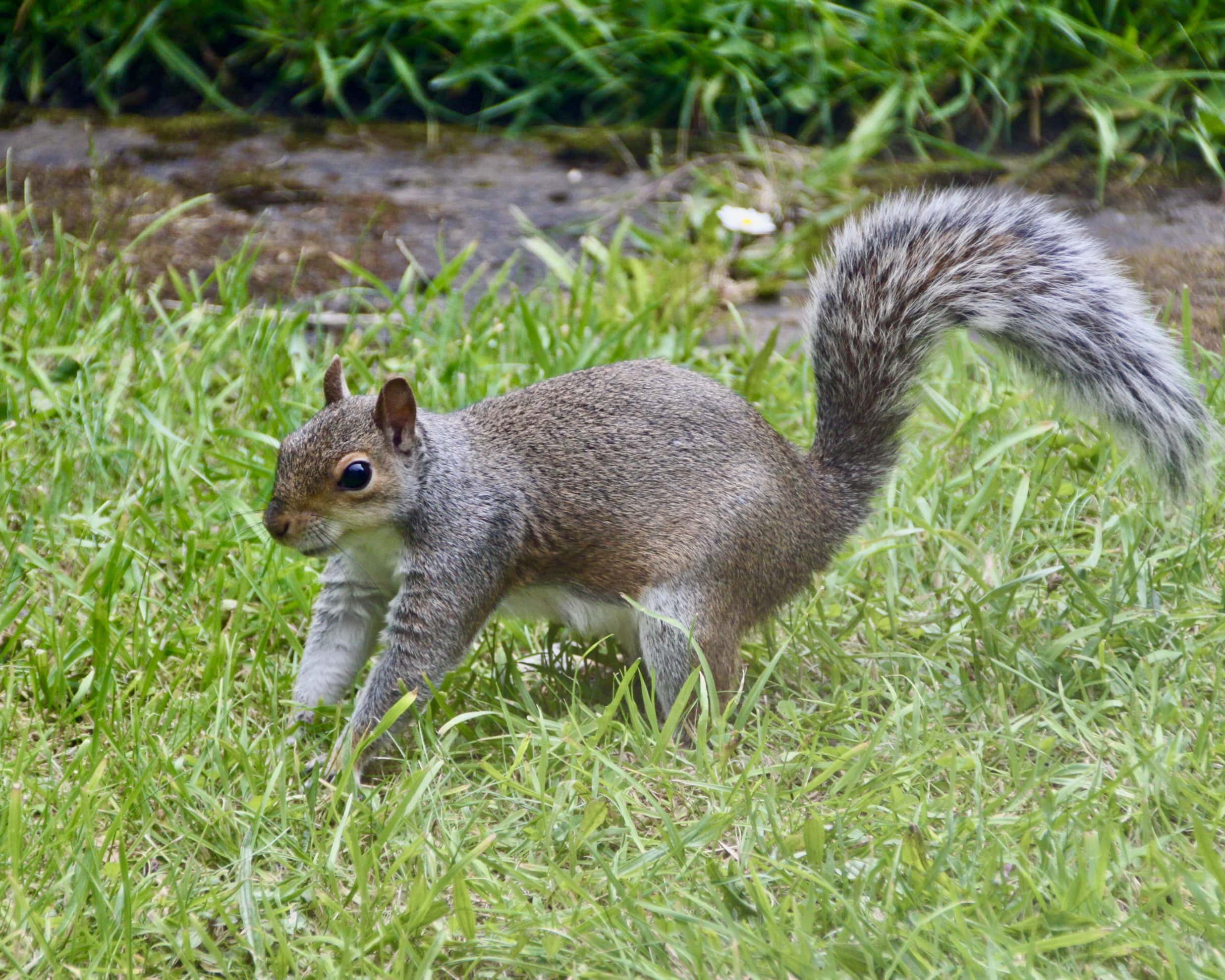 …And Stretch!
