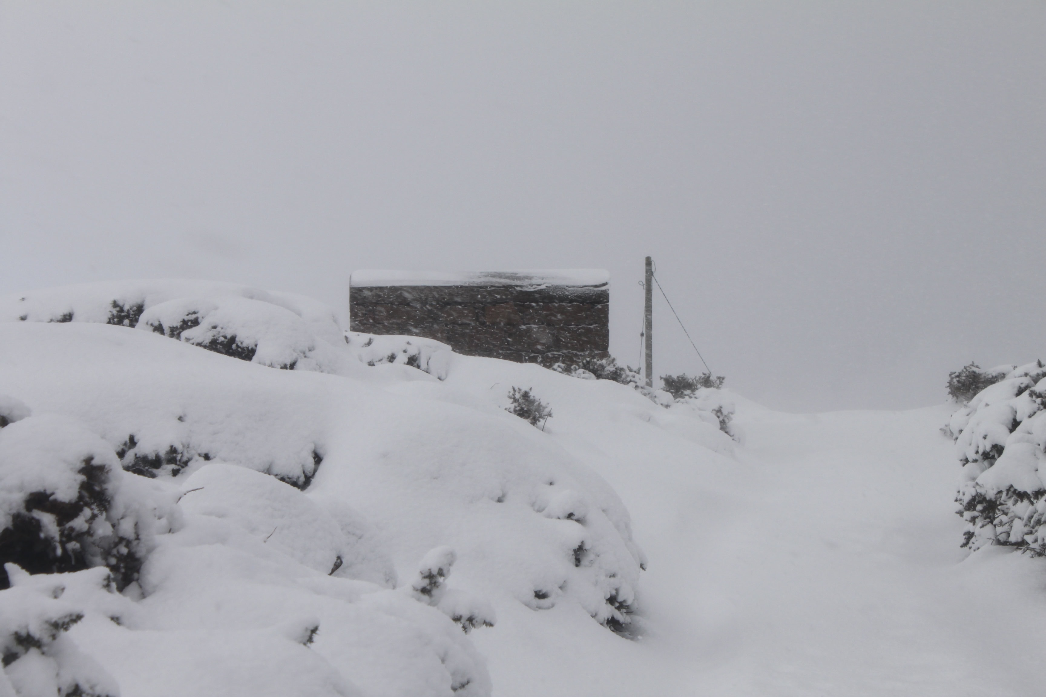 Midst of a snow storm