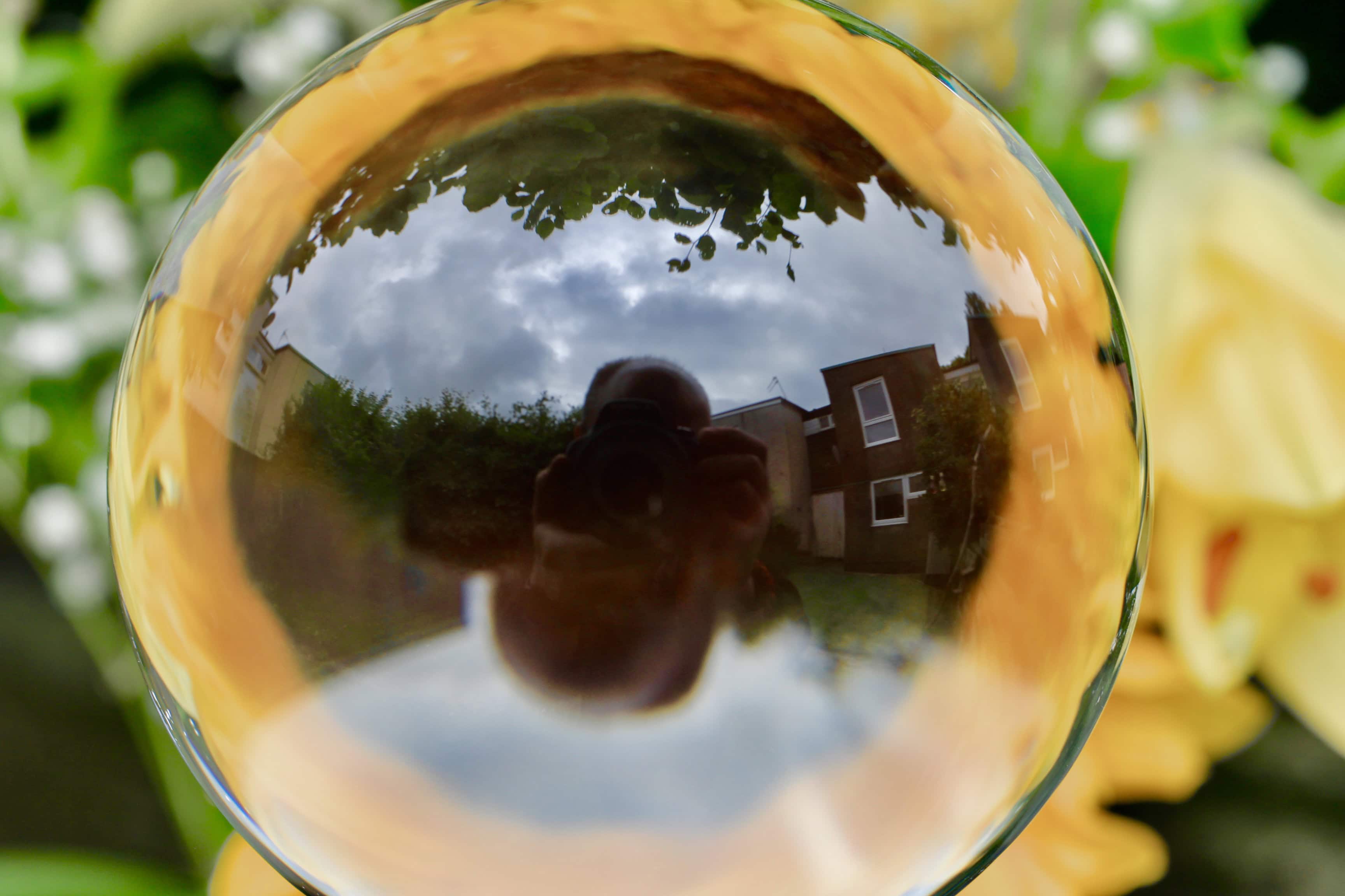 Reflections in a Sunflower — Lensball Playtime #8