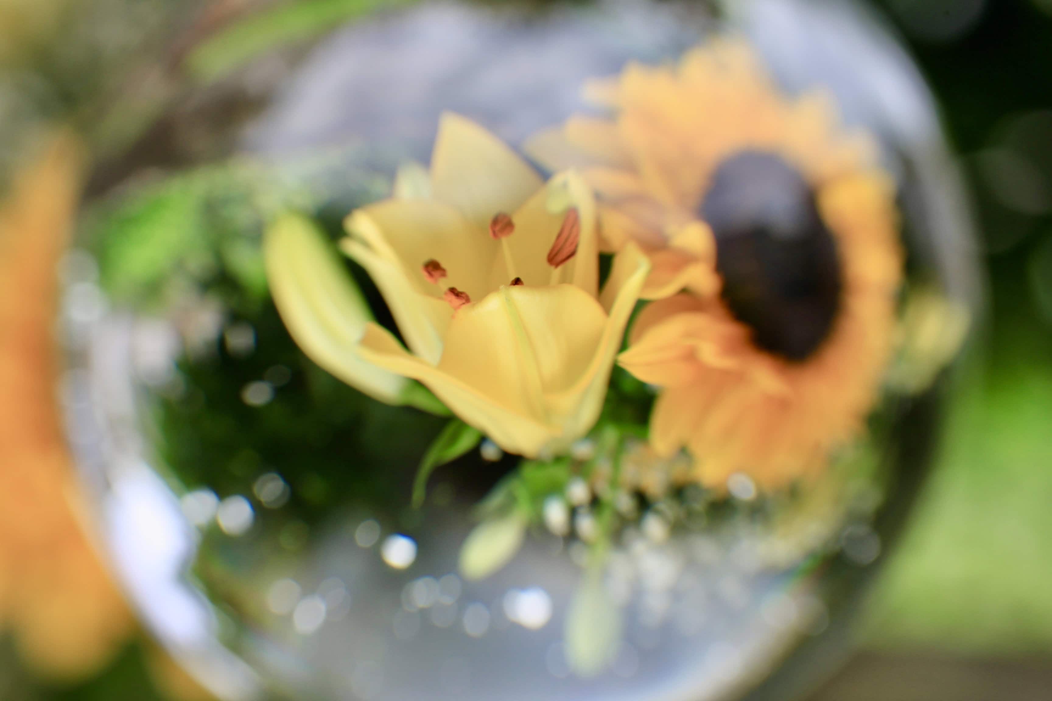 Lily in a lensball