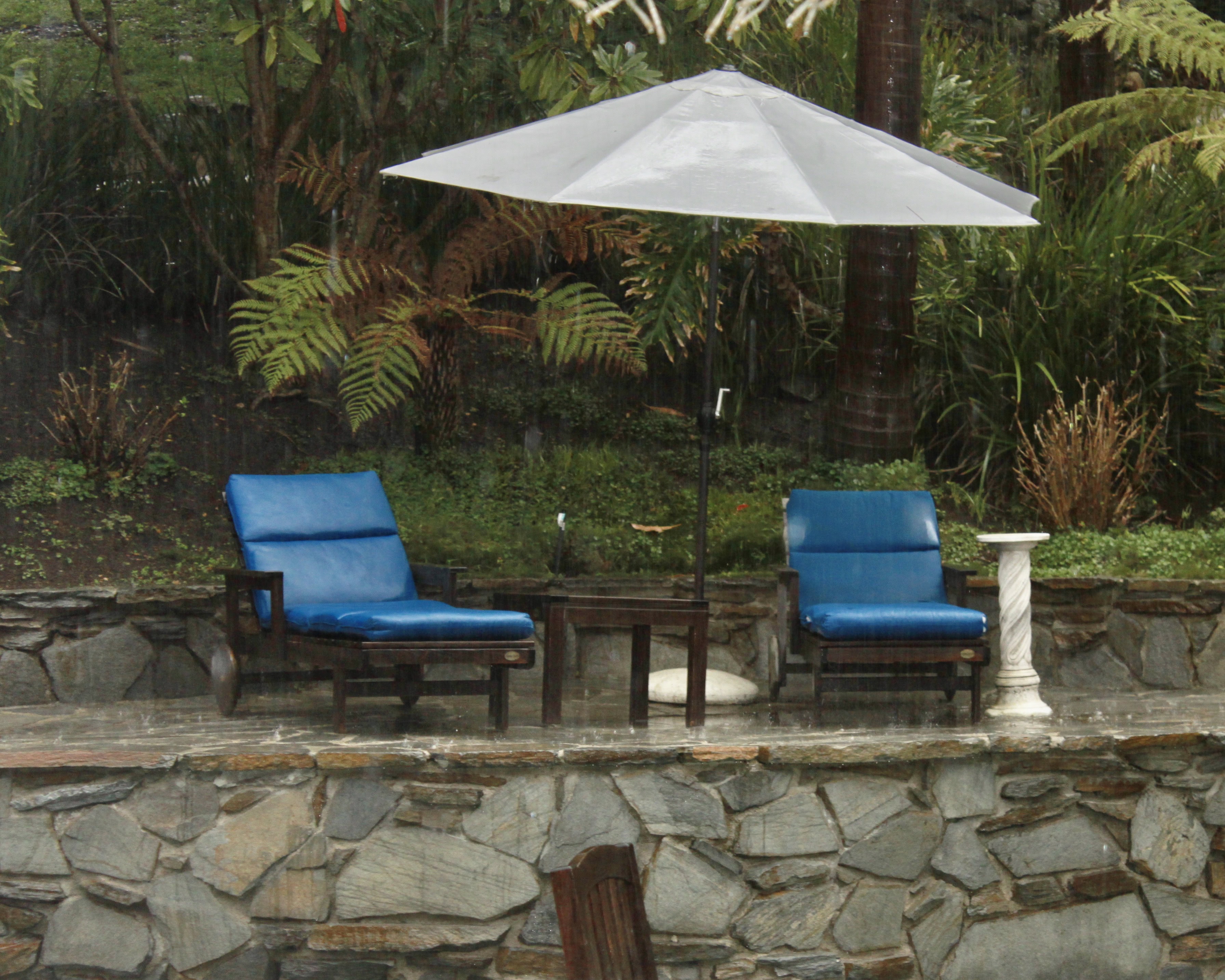 Bring Your Wetsuit — Pull up a Seat Challenge #27