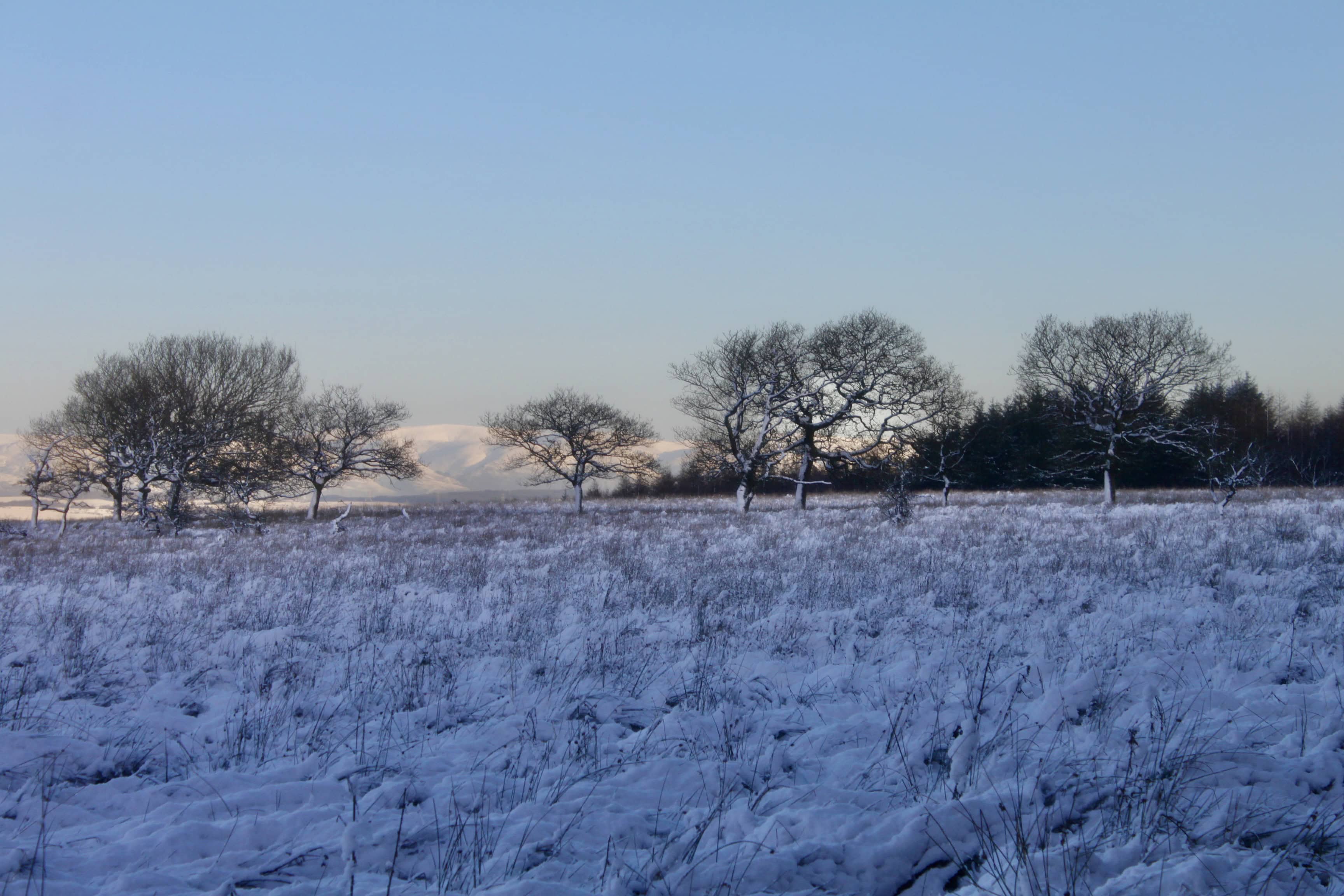 It’s Going to Snow — Lens-Artists Photo Challenge #107