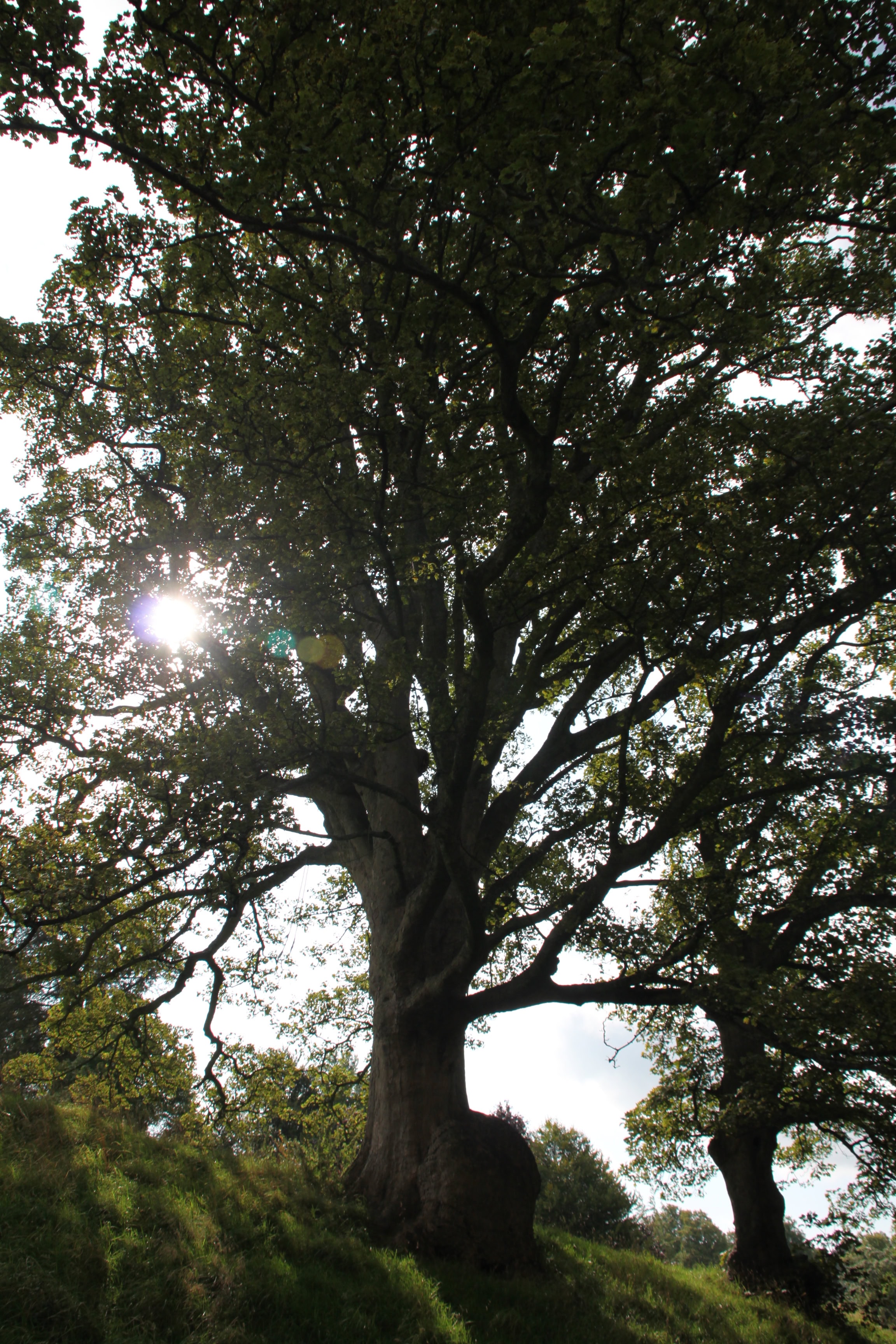 Wordless Wednesday Aug 19