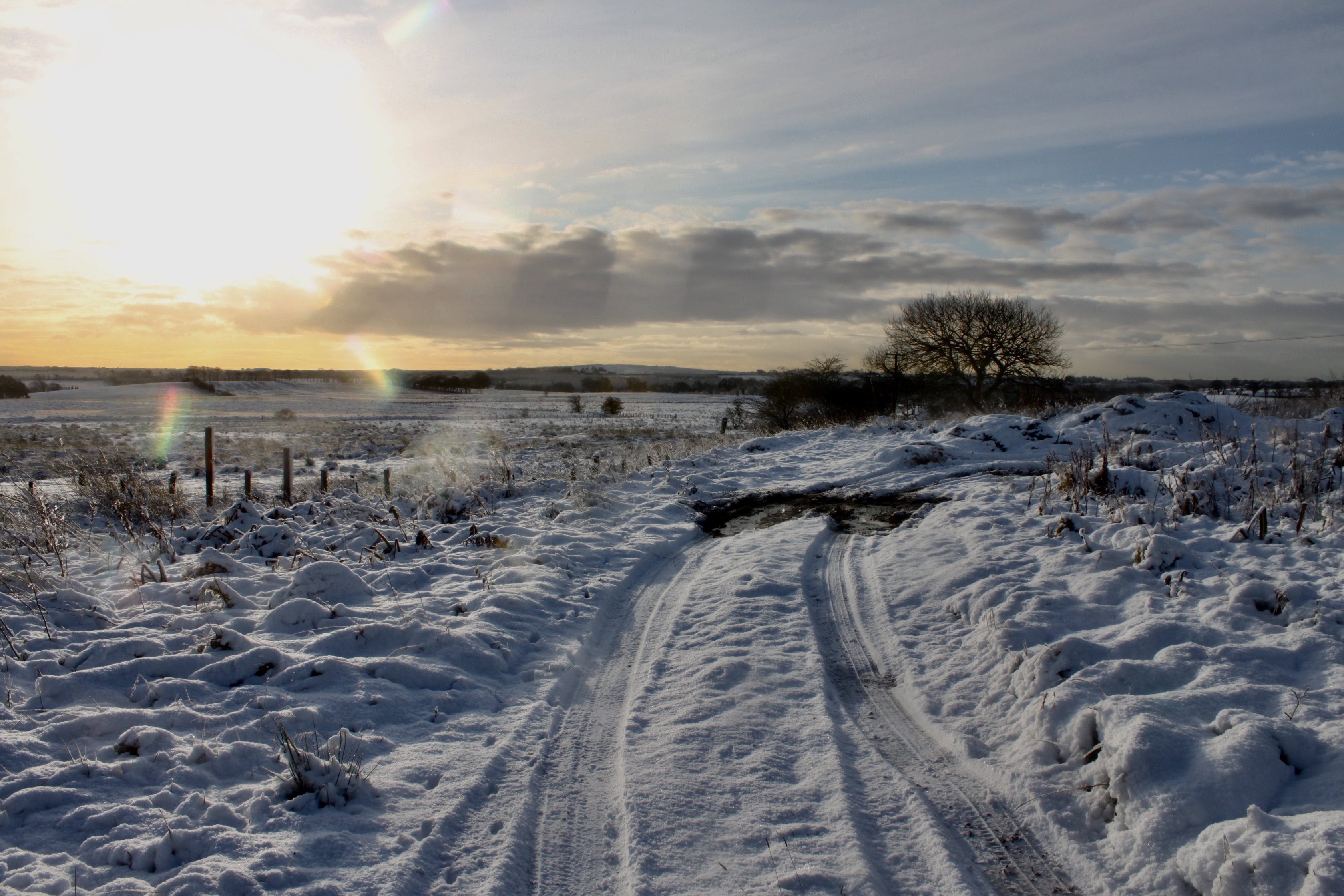 Snowy track