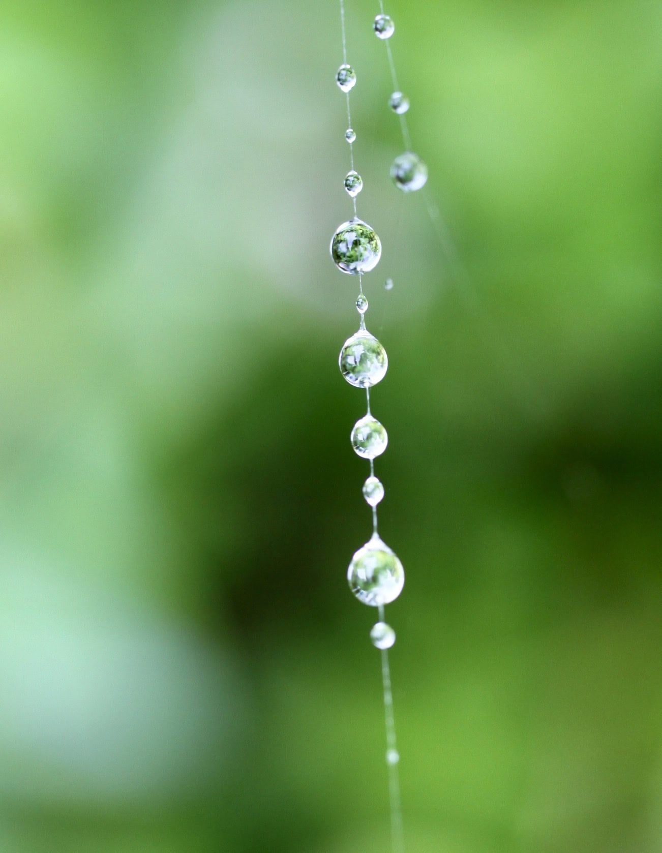 Raindrops on a Web — Raindrops #9