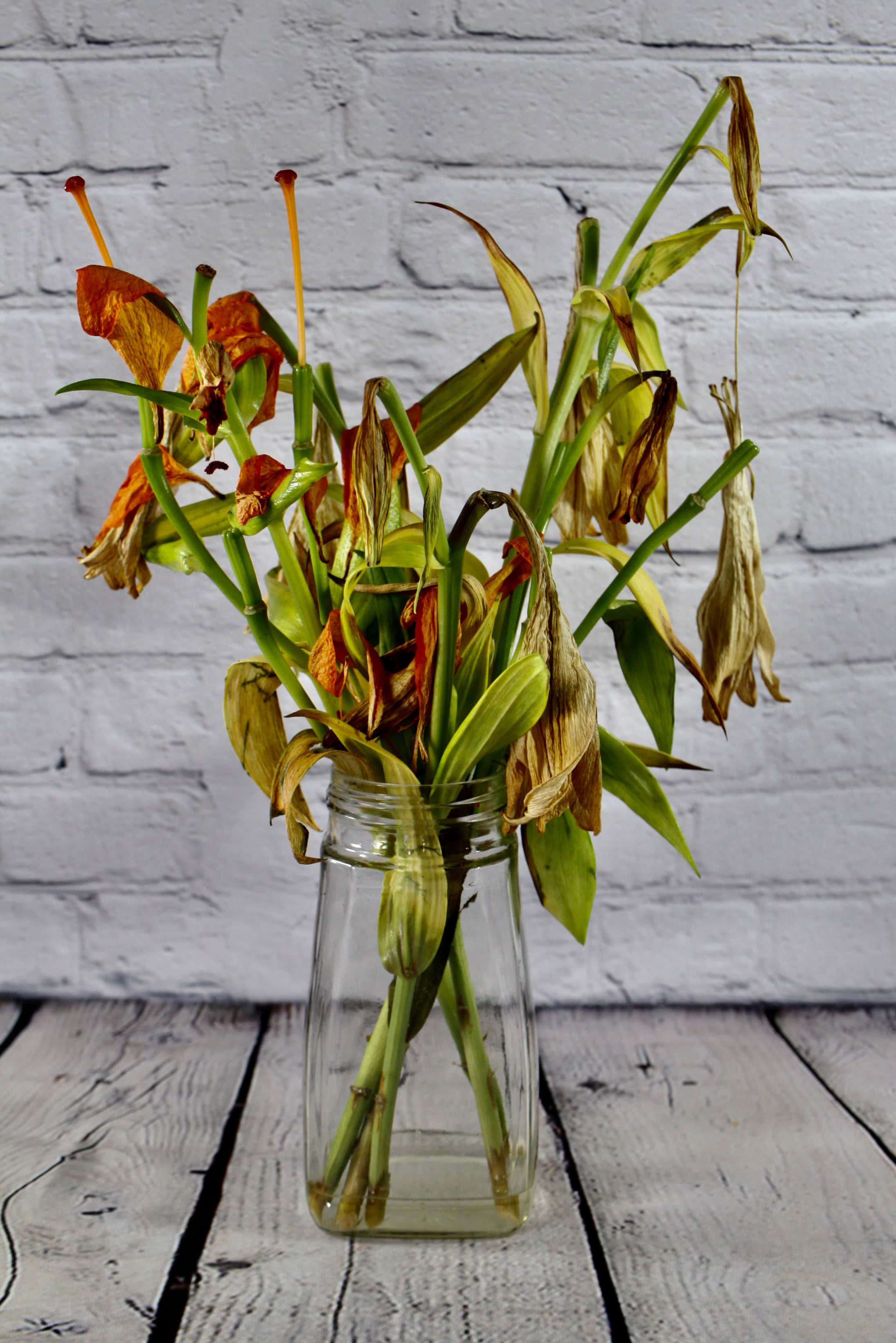 Lilies