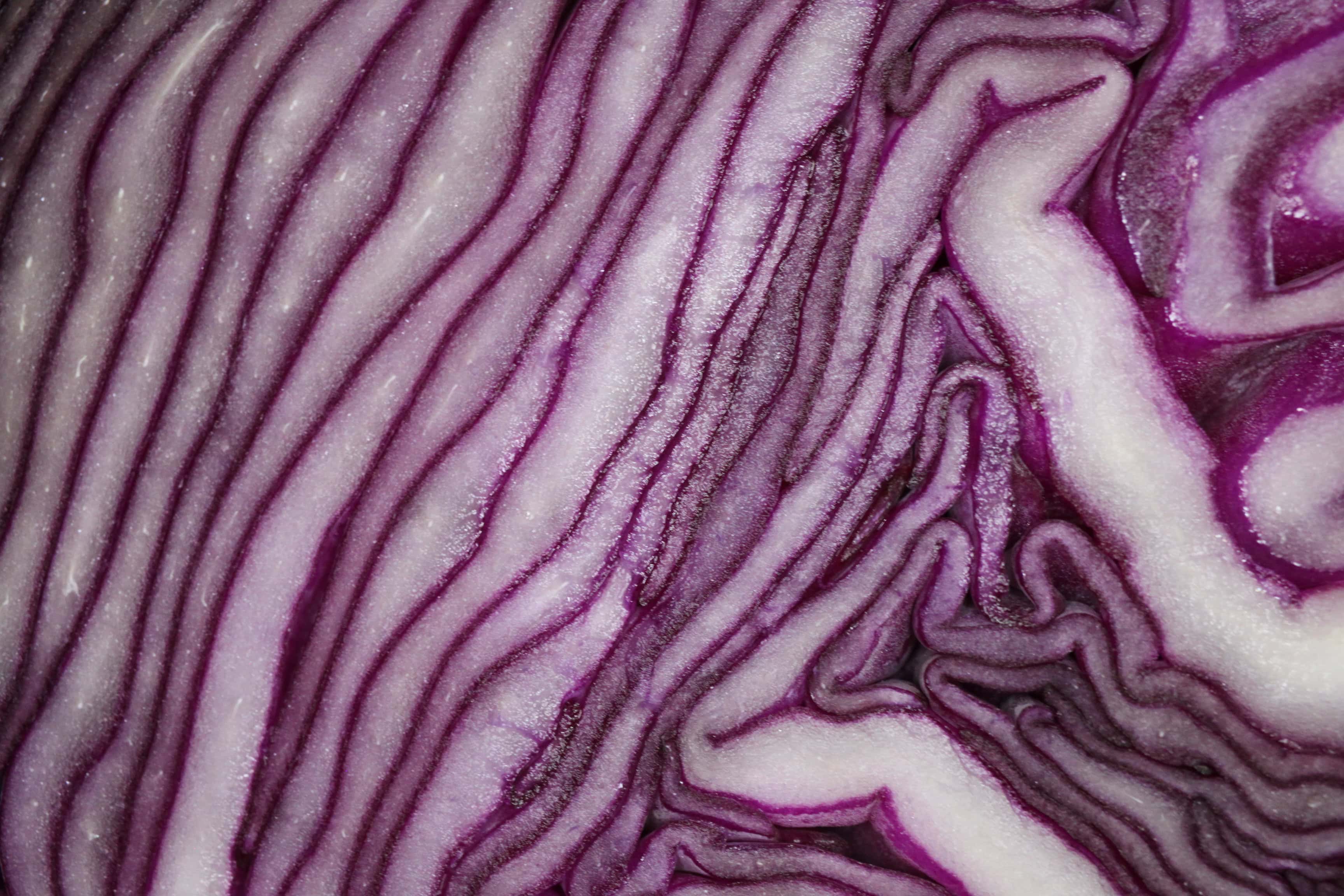 Red cabbage centre