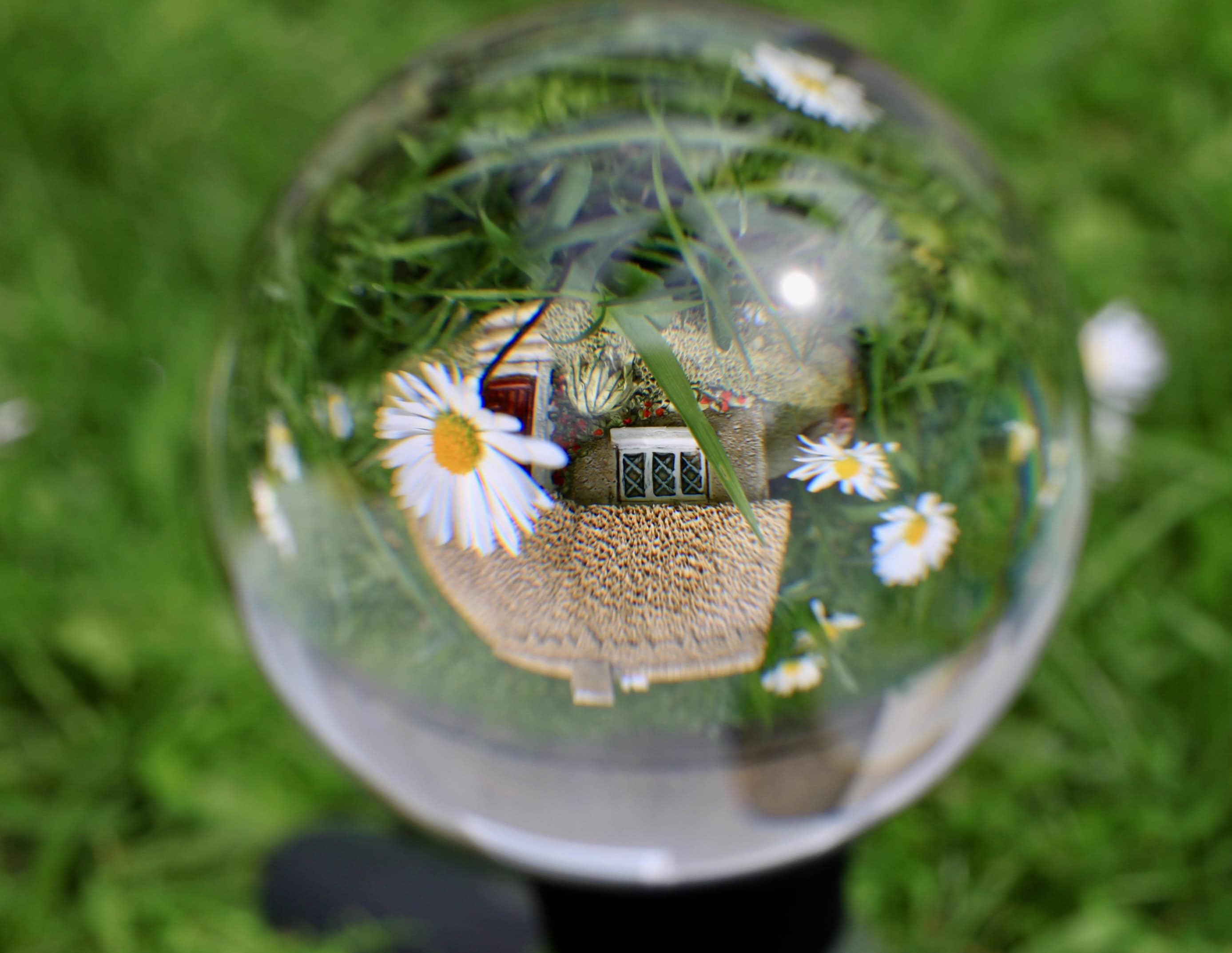 Daisy Cottage in a lensball