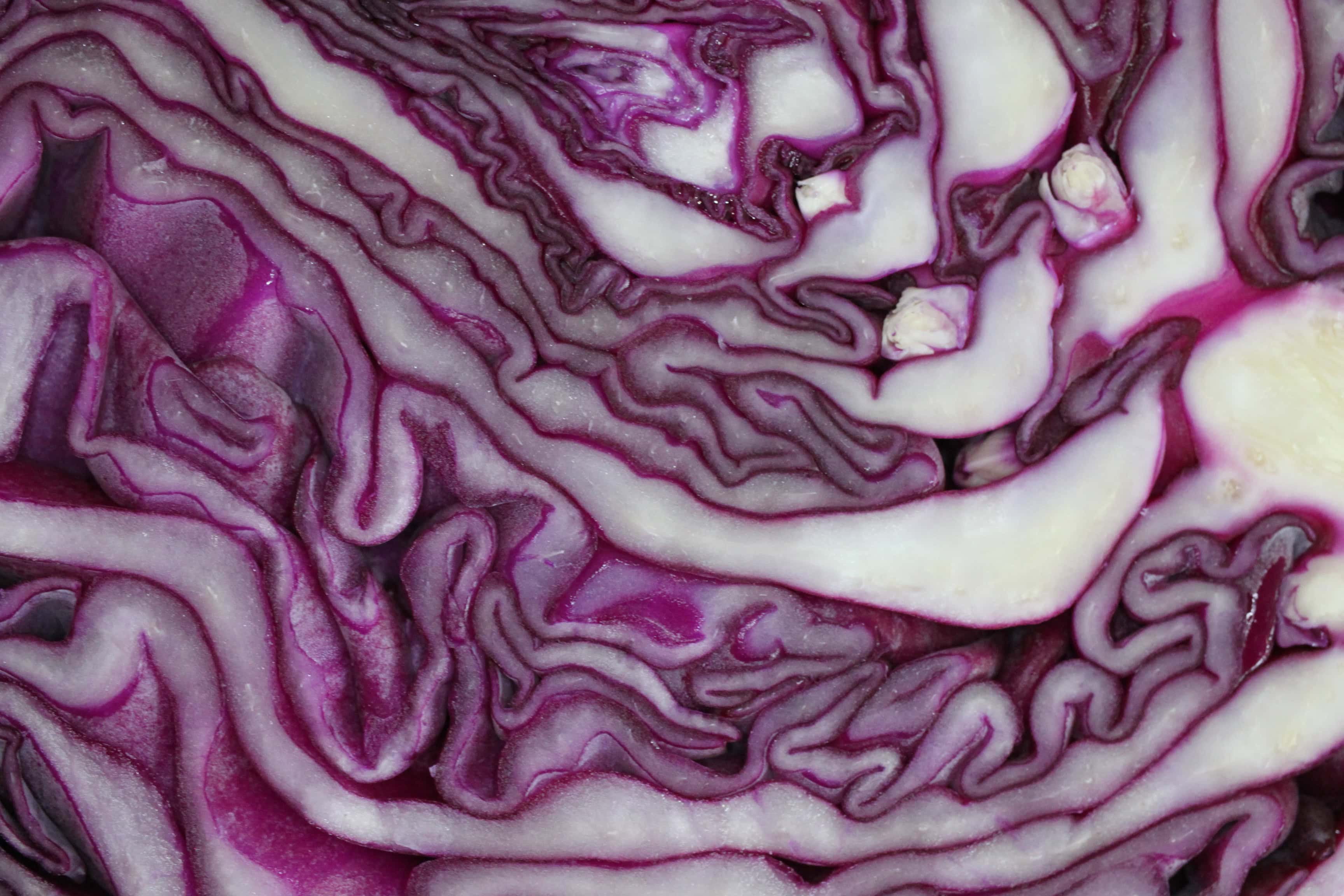 Red cabbage centre