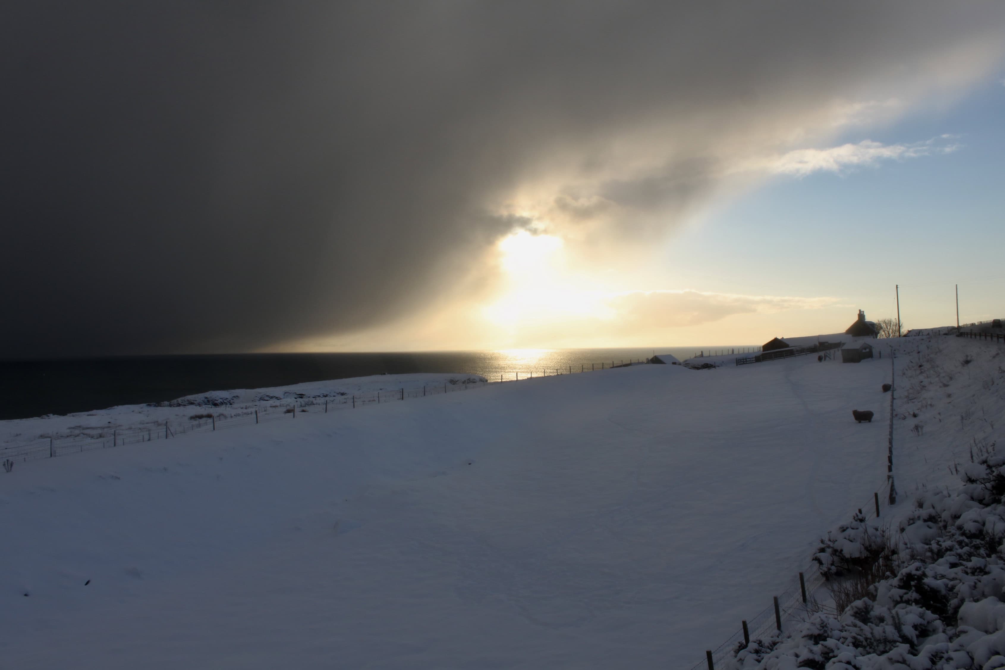 Disappearing before the storm