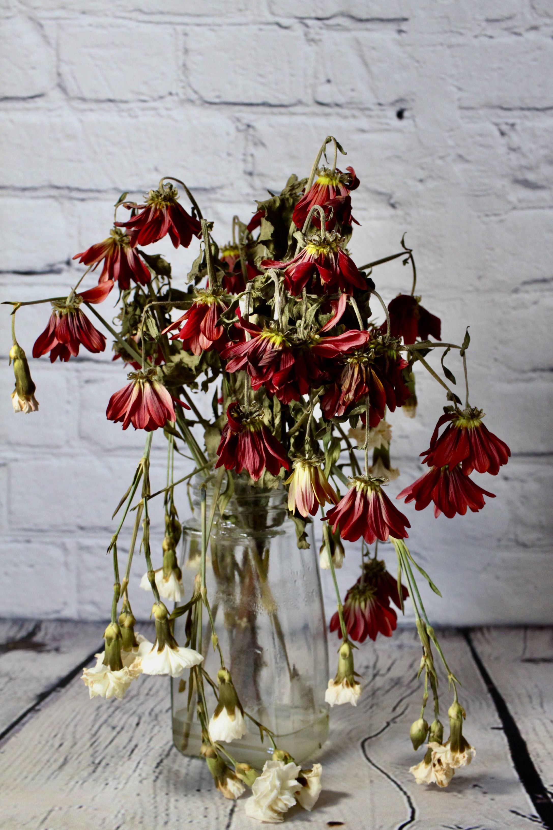 Wilting flowers