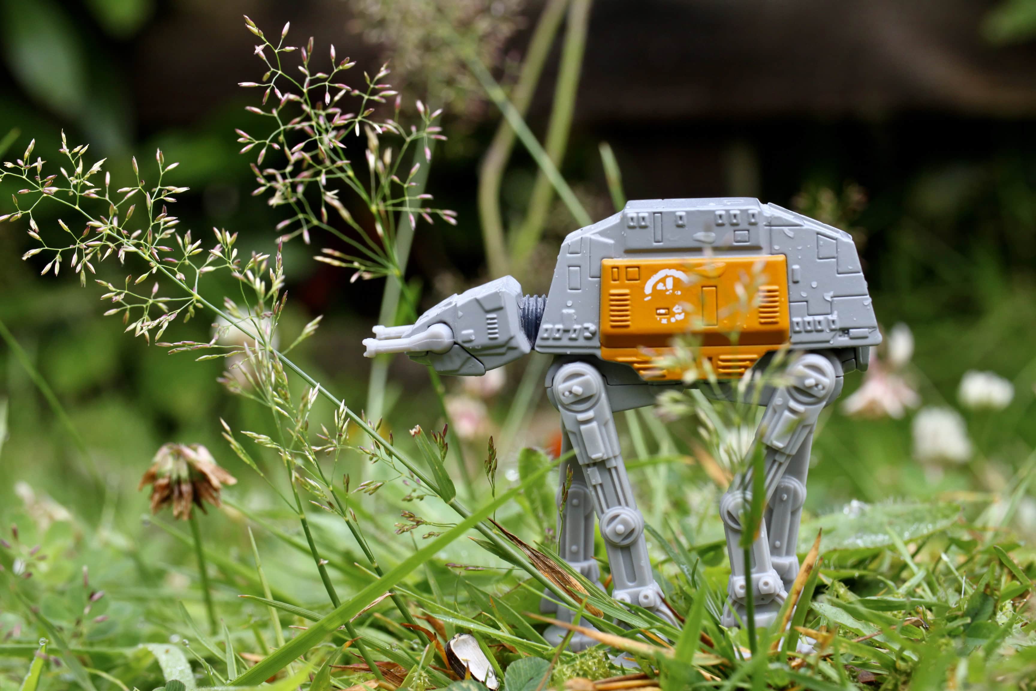 Invasion! — Kammie’s Oddball Photo Challenge