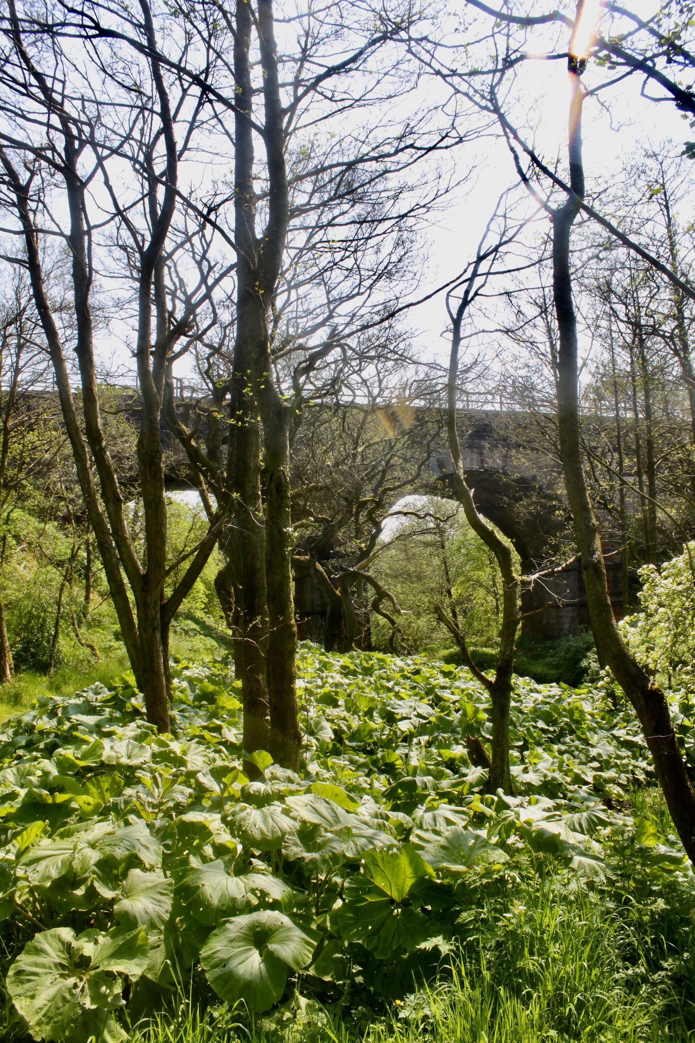Rail bridge