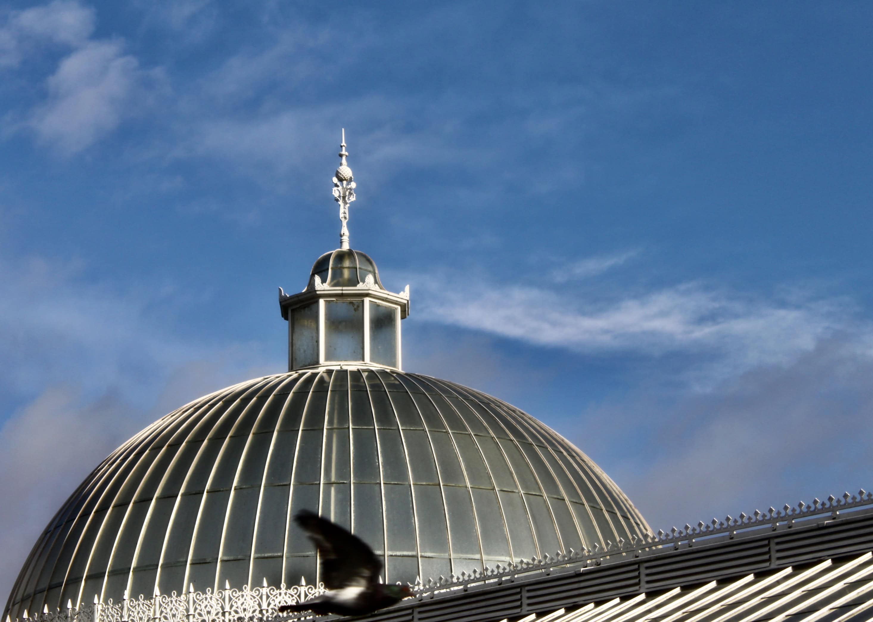 Kibble Palace
