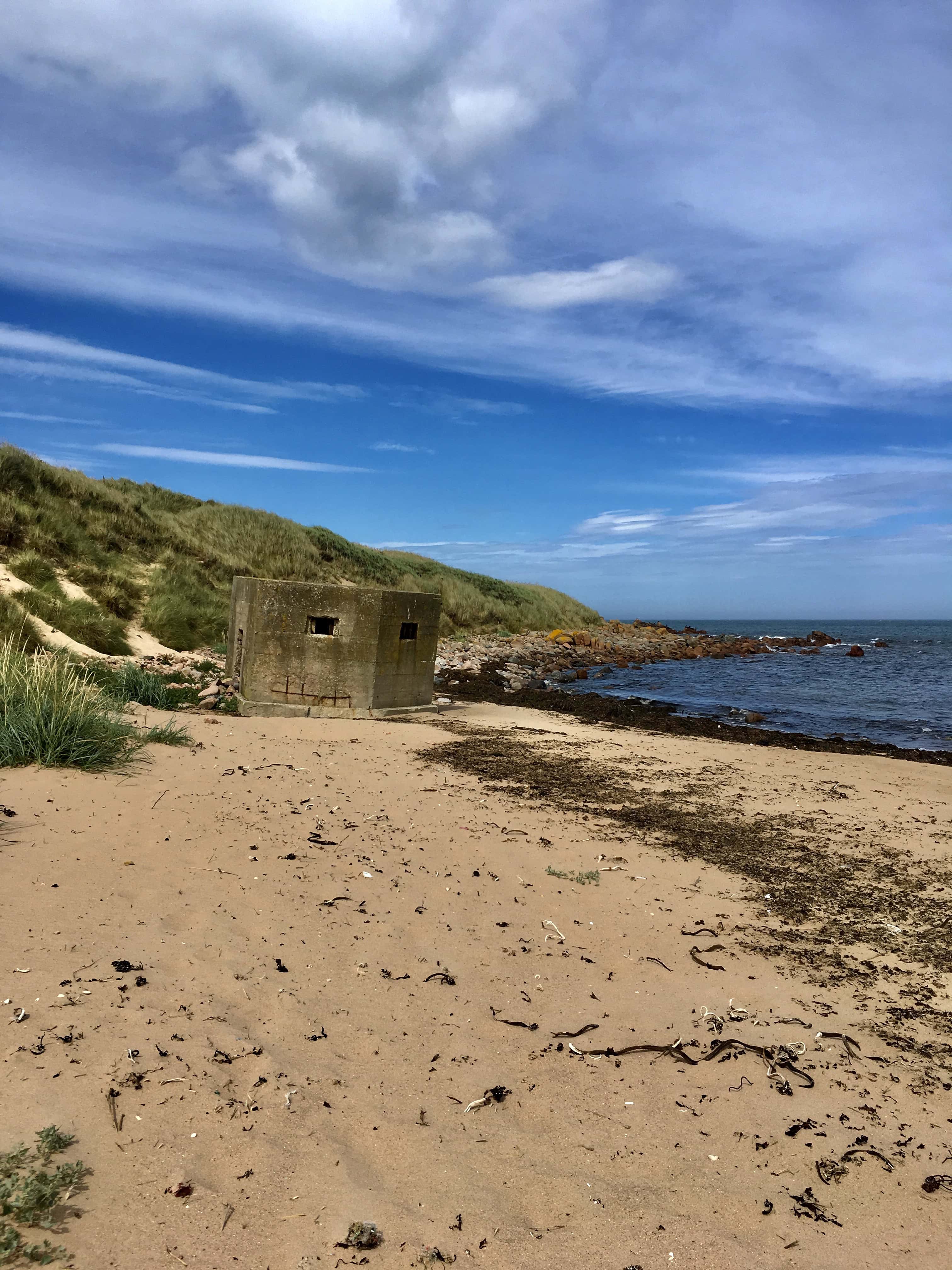 Coastal defences