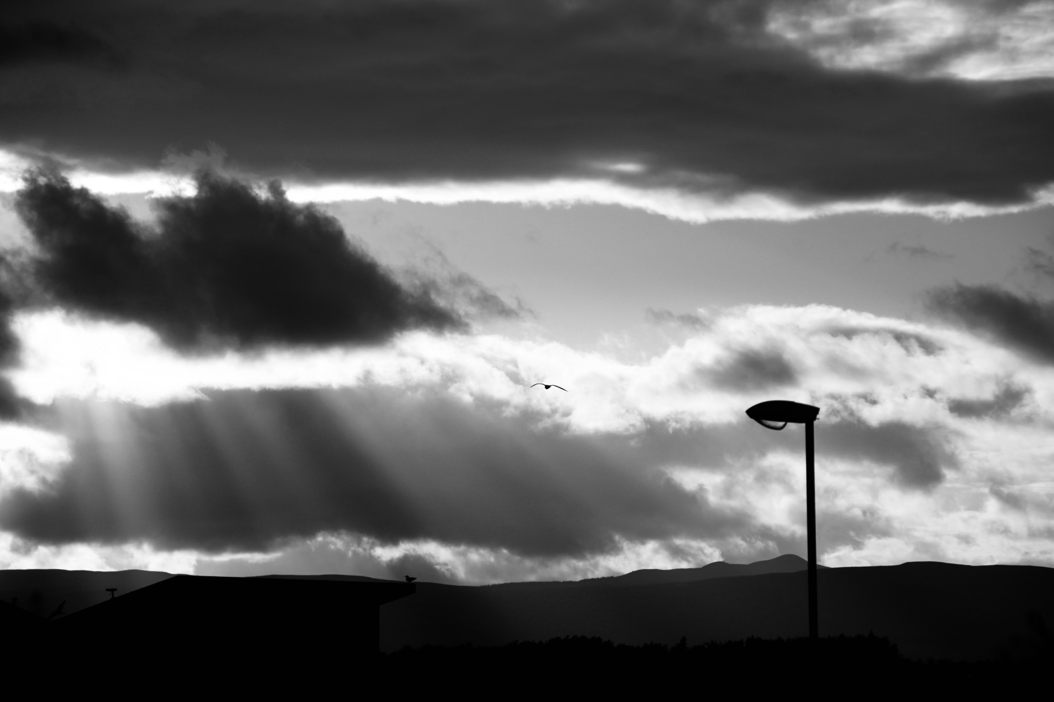 Crepuscular rays & a street light
