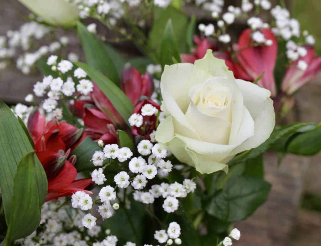 White rose