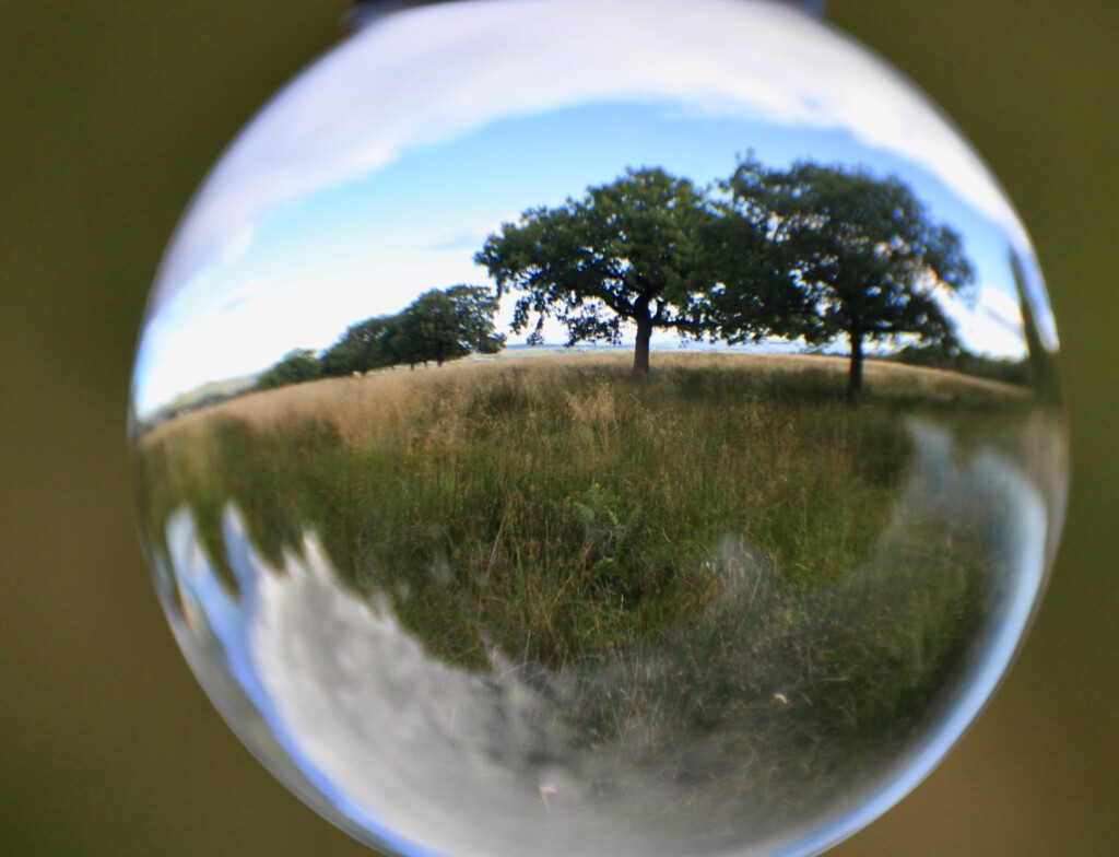 Palacerigg Country Park in a lensball