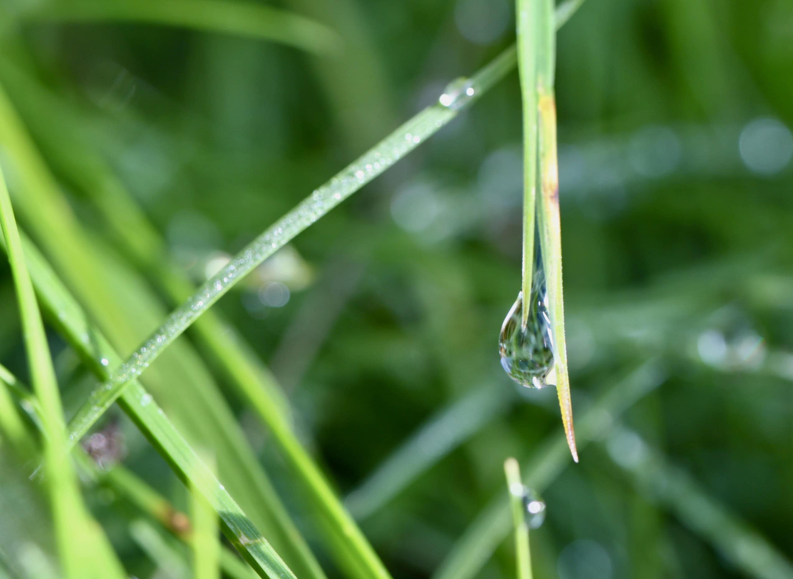 Raindrops #55 Sep 28