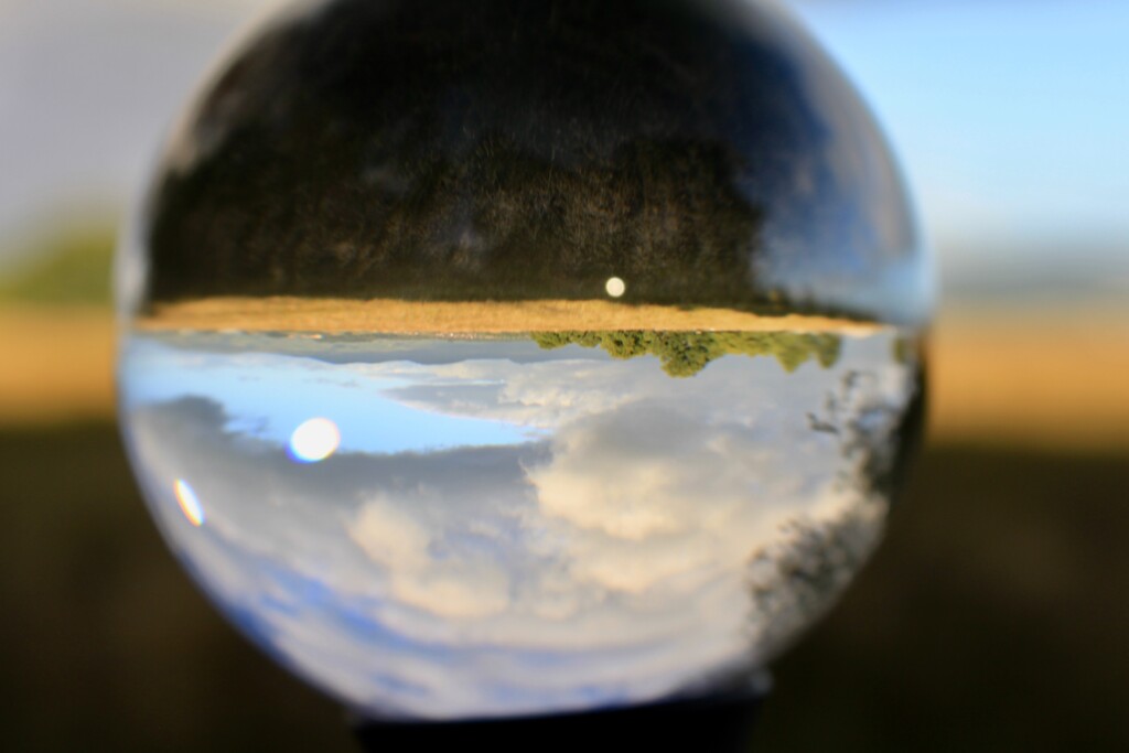 Palacerigg through a lensball