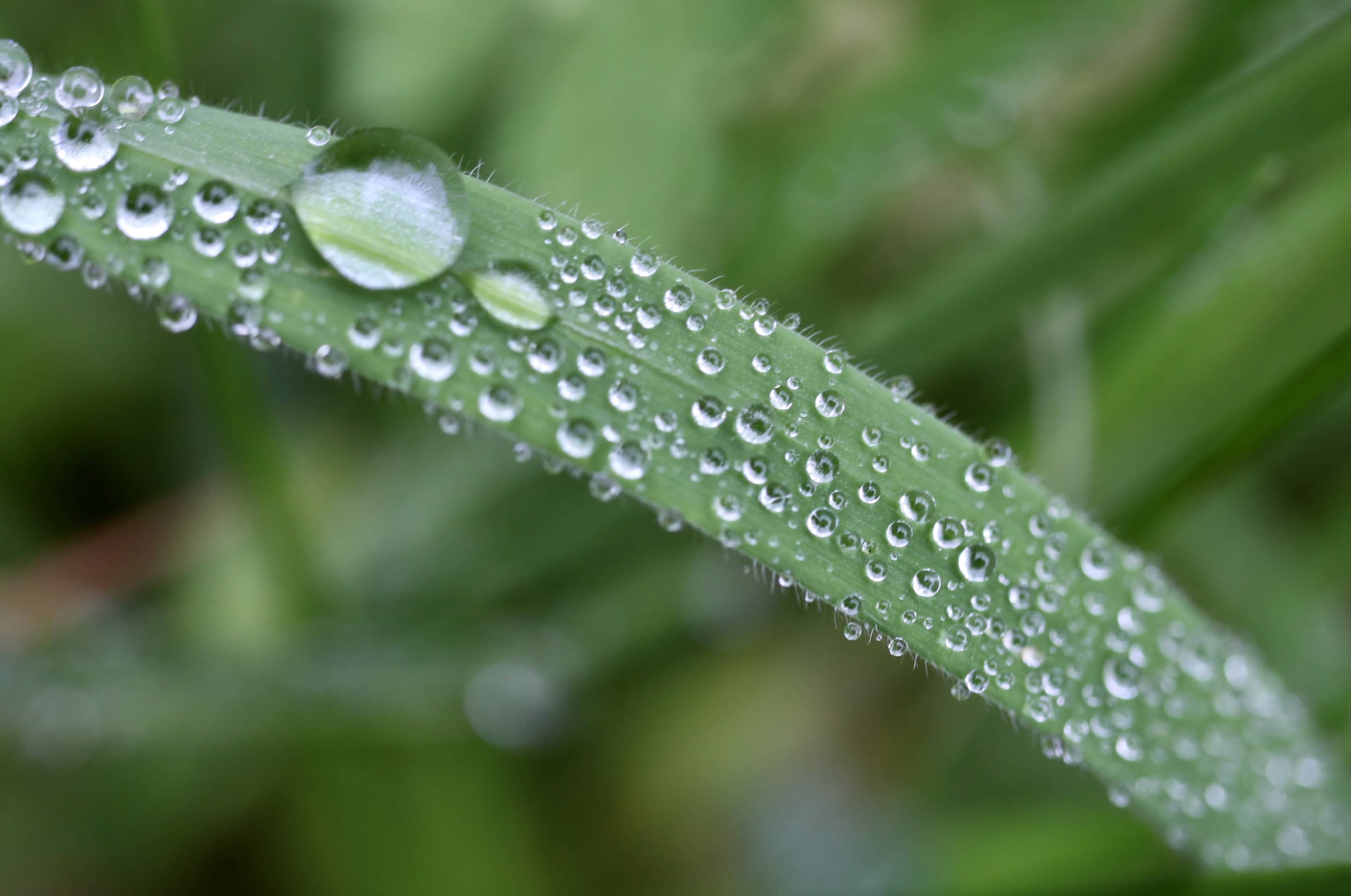 Raindrops #60 Oct 03
