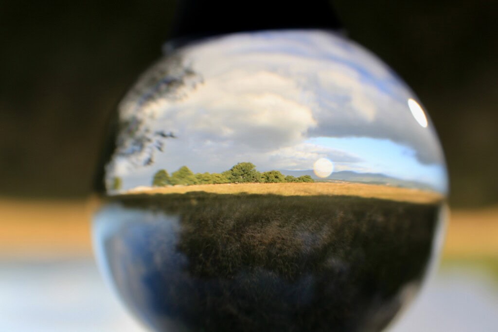 Palacerigg through a lensball