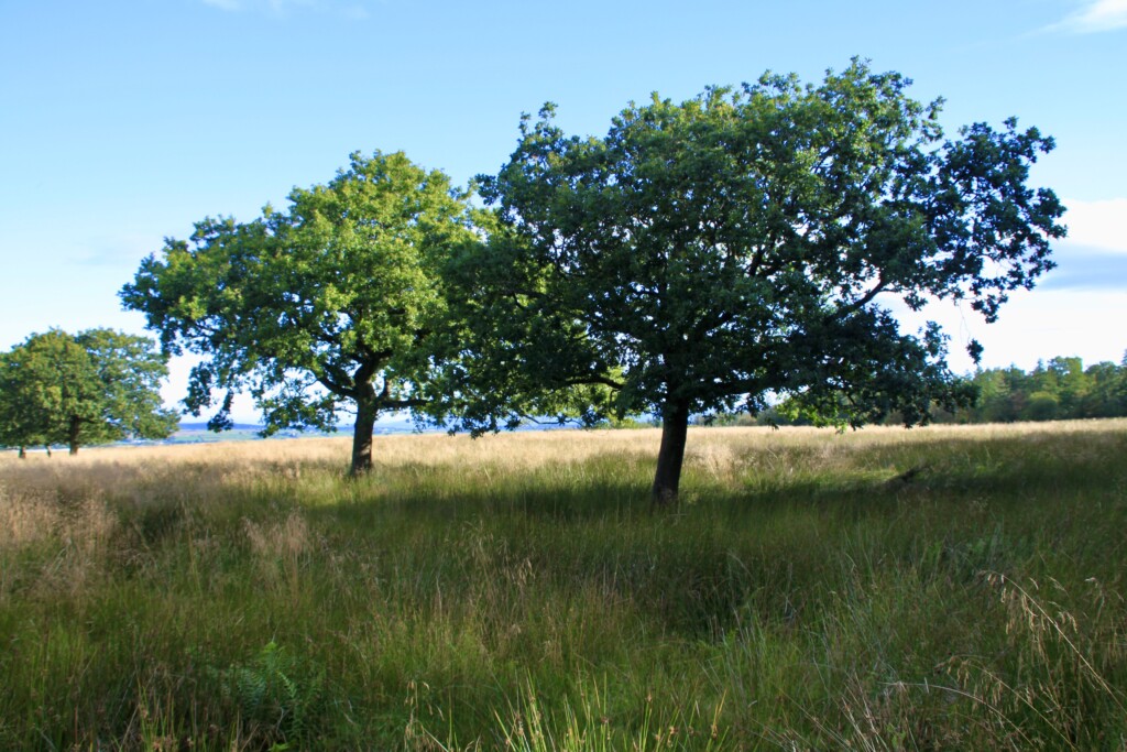 Palacerigg Country Park