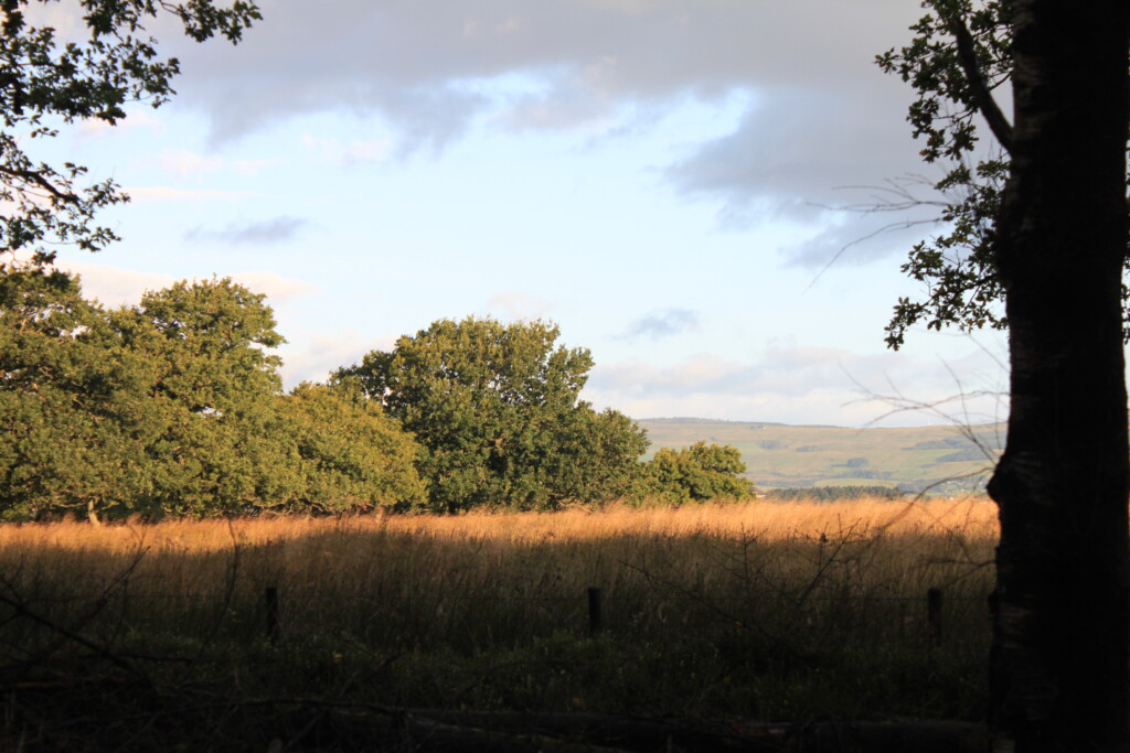 Palacerigg Country Park