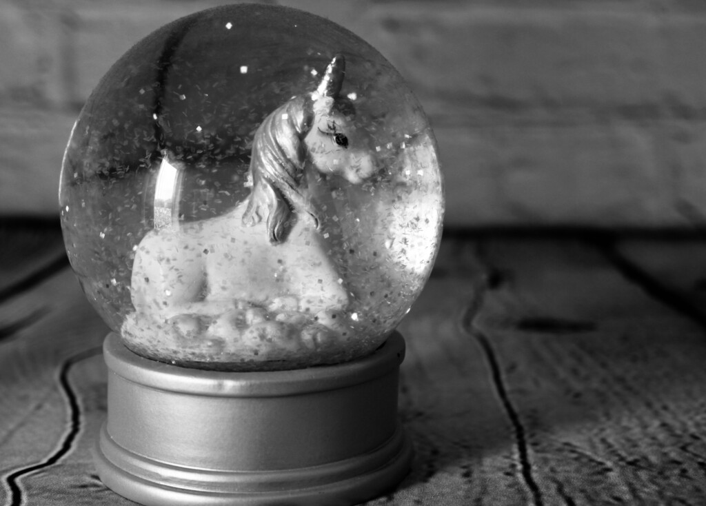 Unicorn snow globe