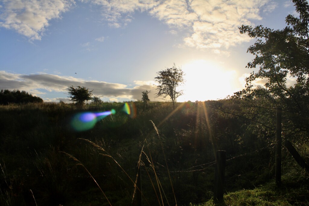 Palacerigg Country Park